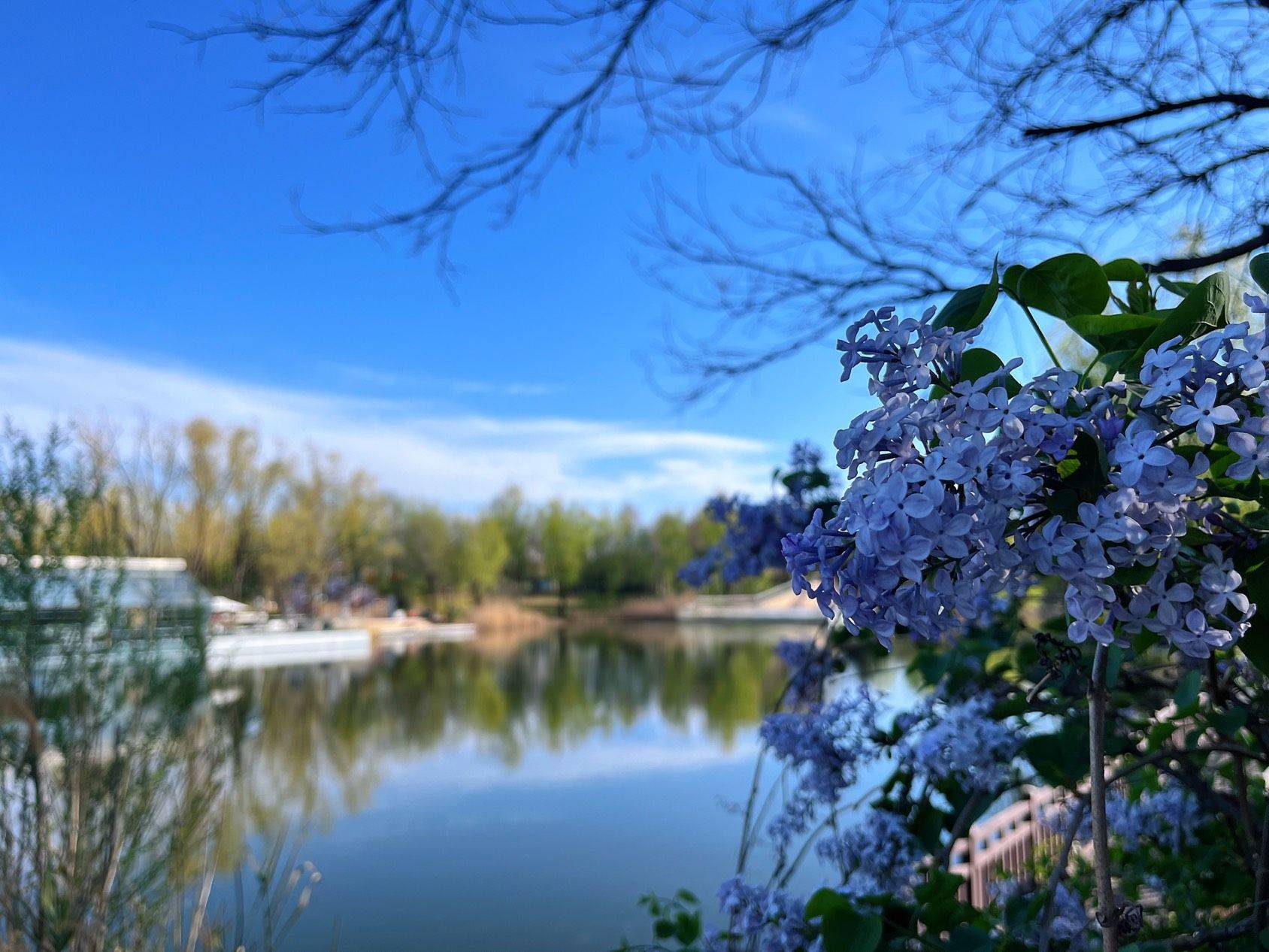 打包2025年的春天_4