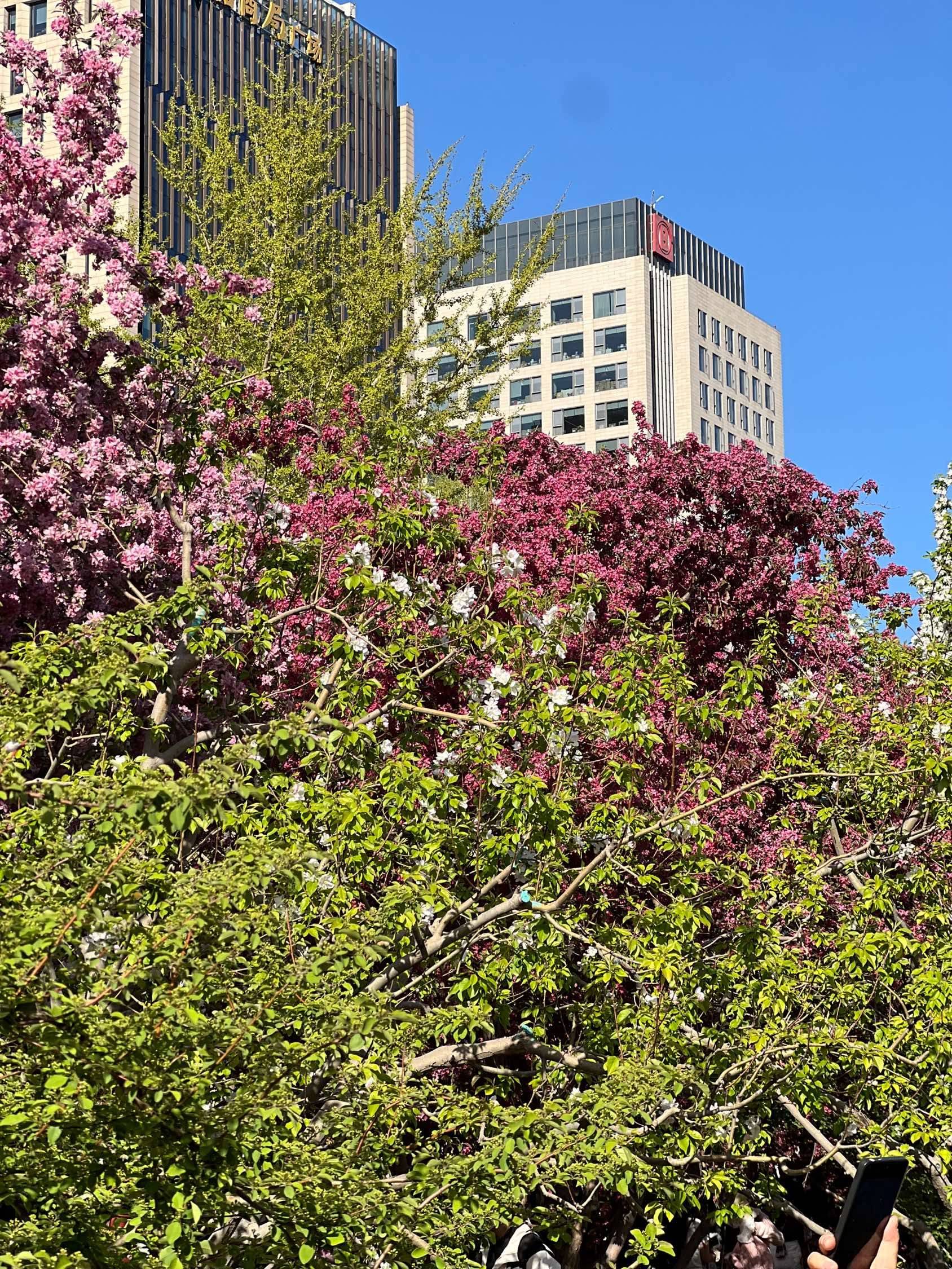 发照片才有流量，招女室友，看看我房子吧_2