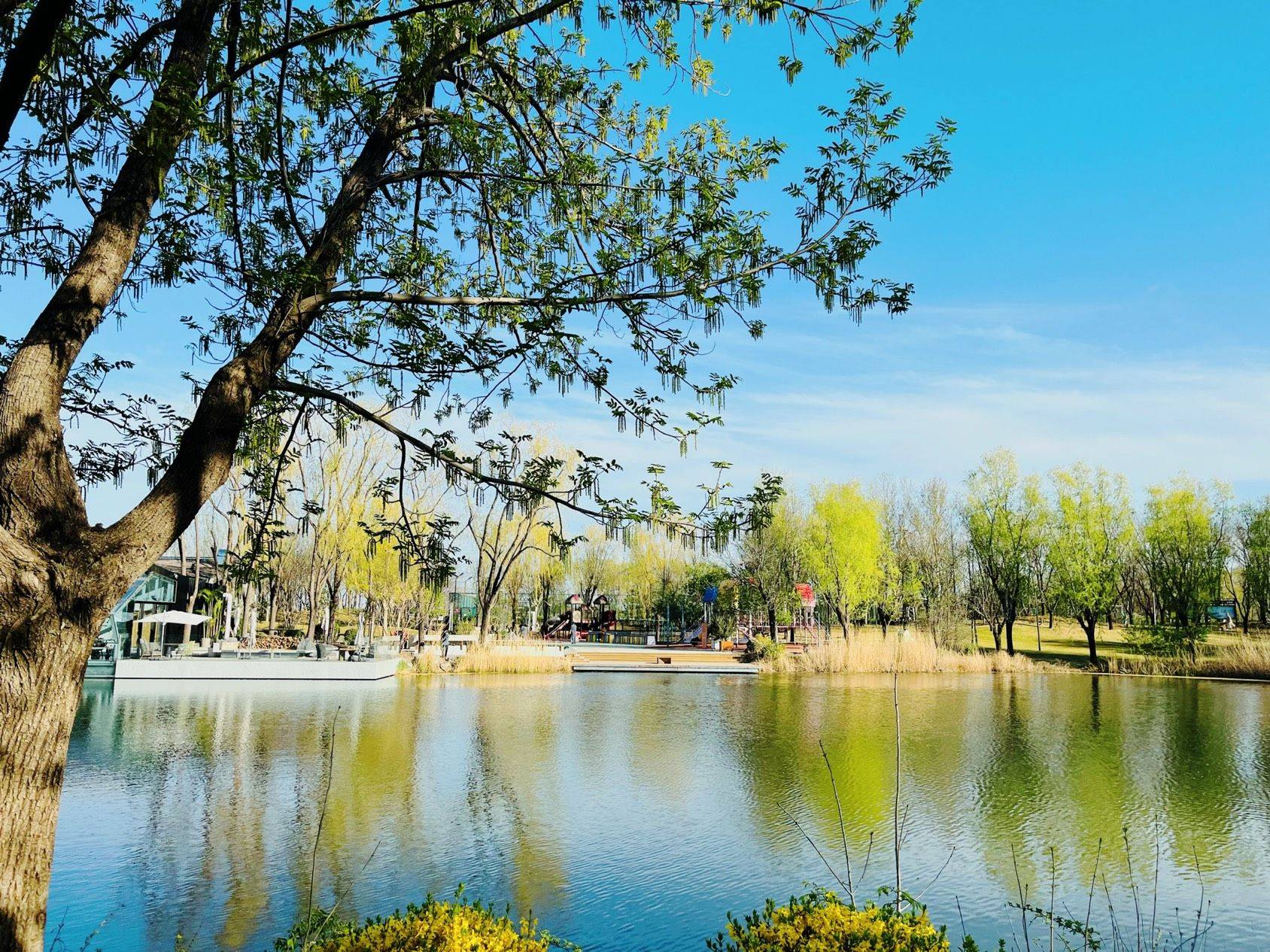 打包2025年的春天_1