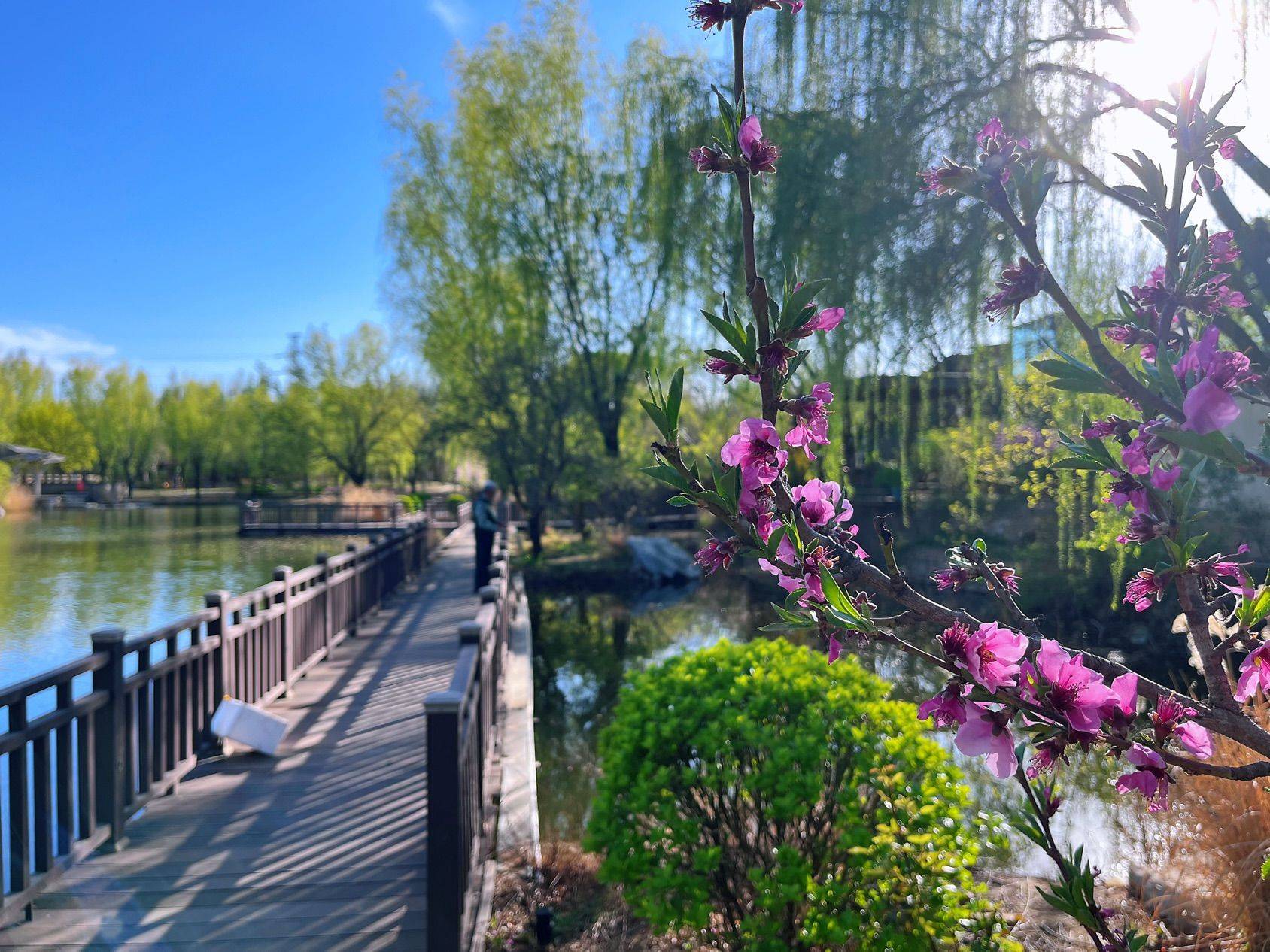 打包2025年的春天