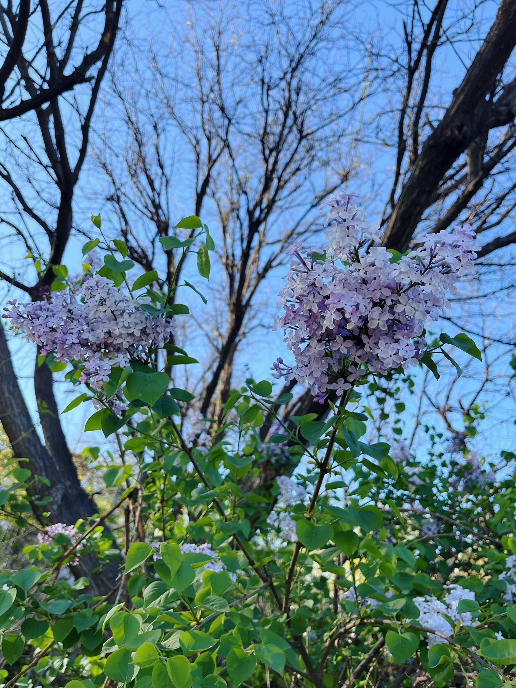 打包2025年的春天_3