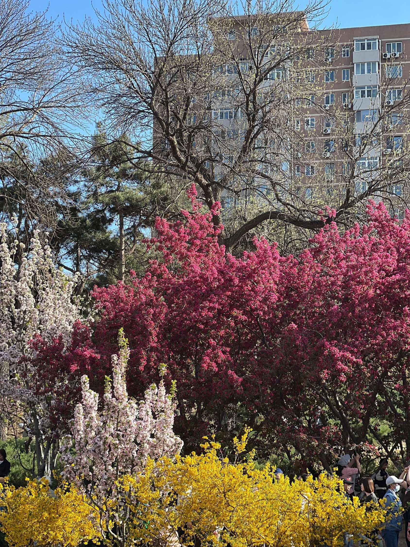 发照片才有流量，招女室友，看看我房子吧_1