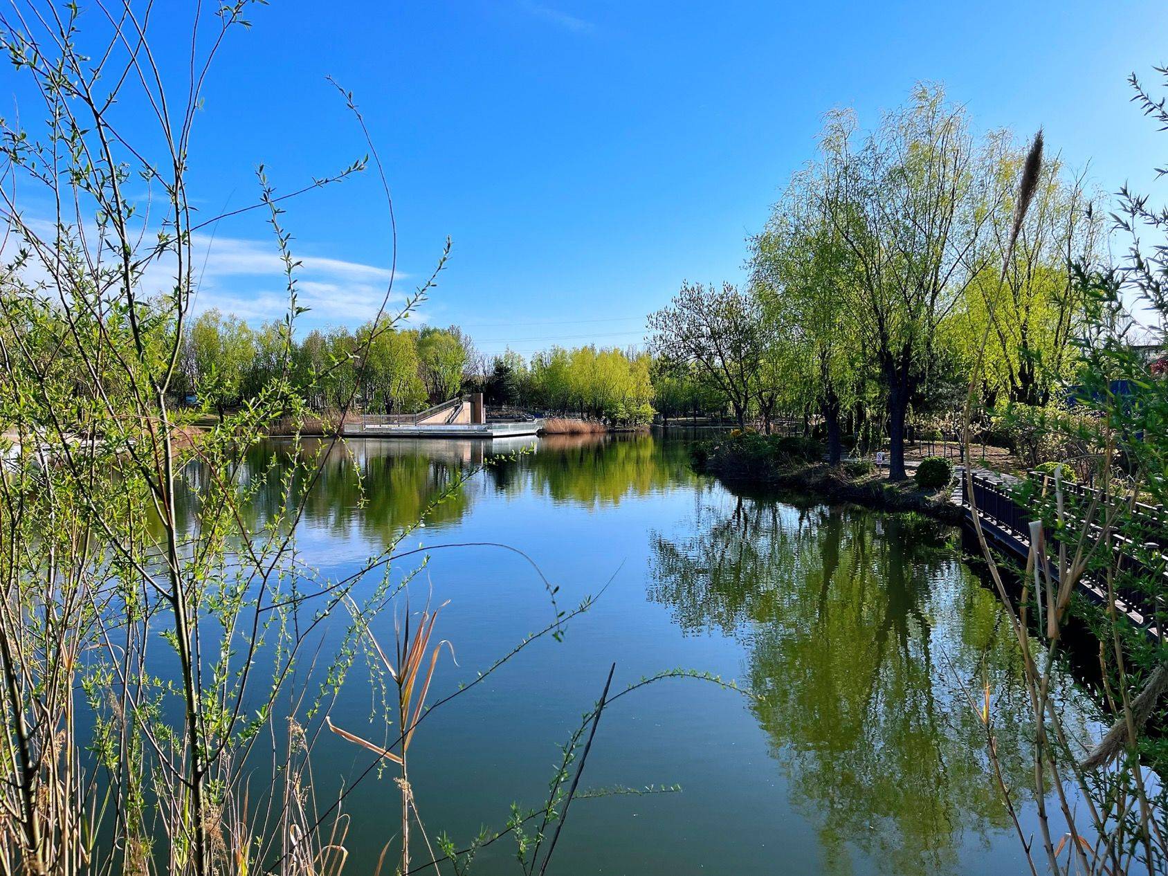 打包2025年的春天_2