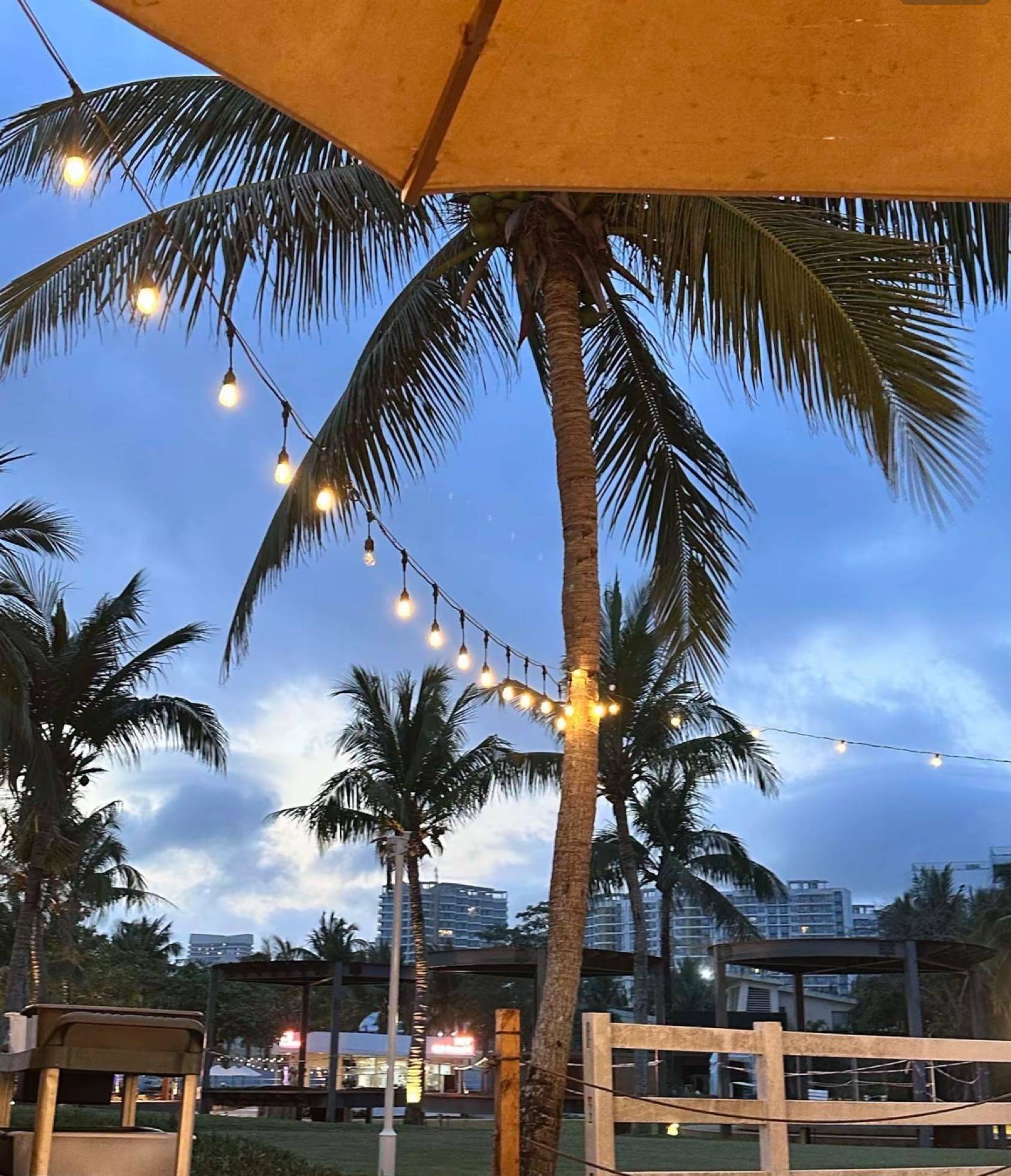 希望海口可以开放🌴