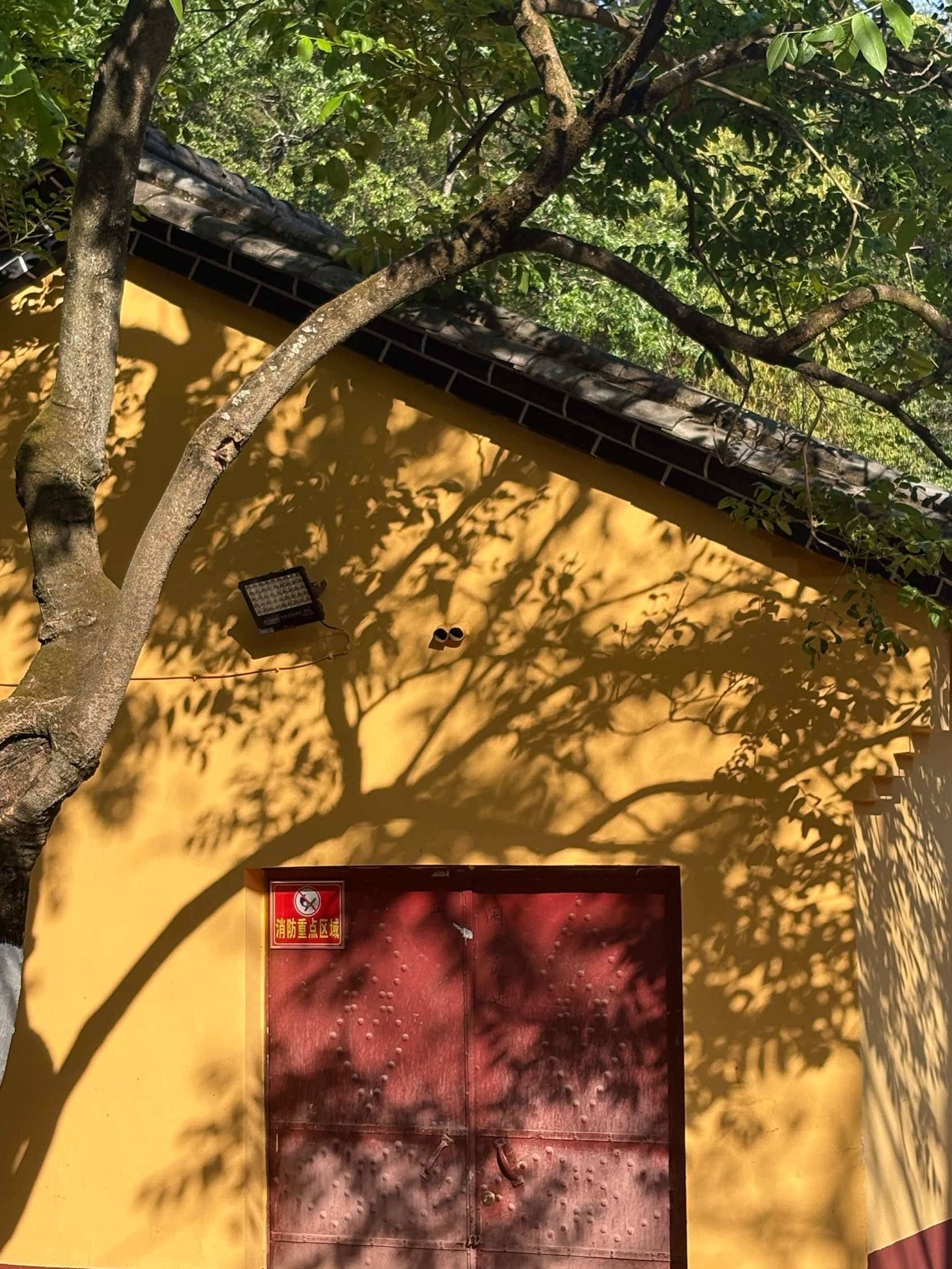 塘屋确实是烧烤界的海底捞哈哈_2