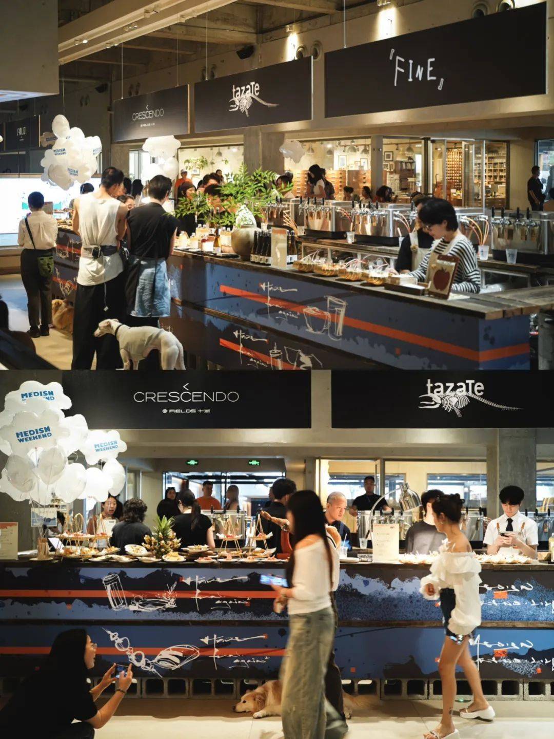 🔵MEDISN WEEKEND：Have fun again²