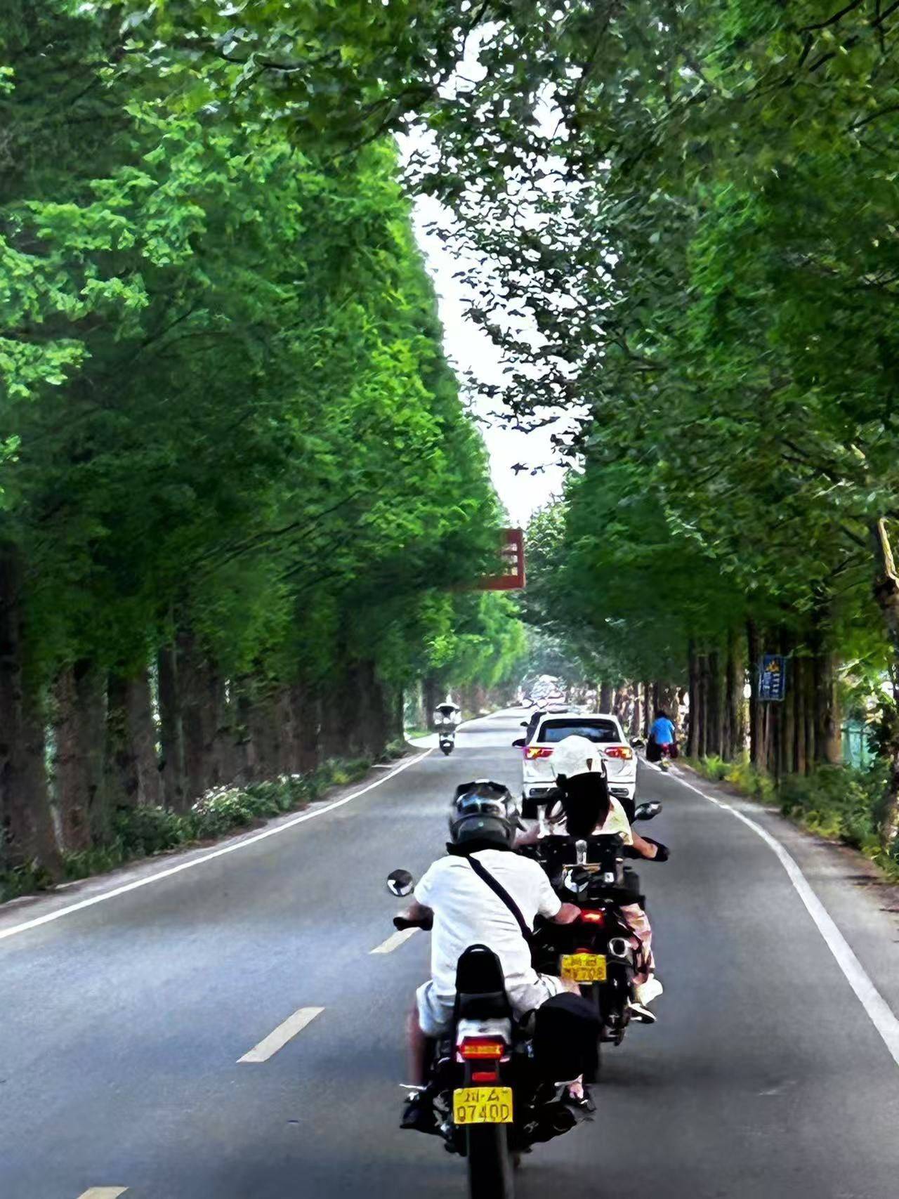 租房看我，能带你跑山玩水那种_1