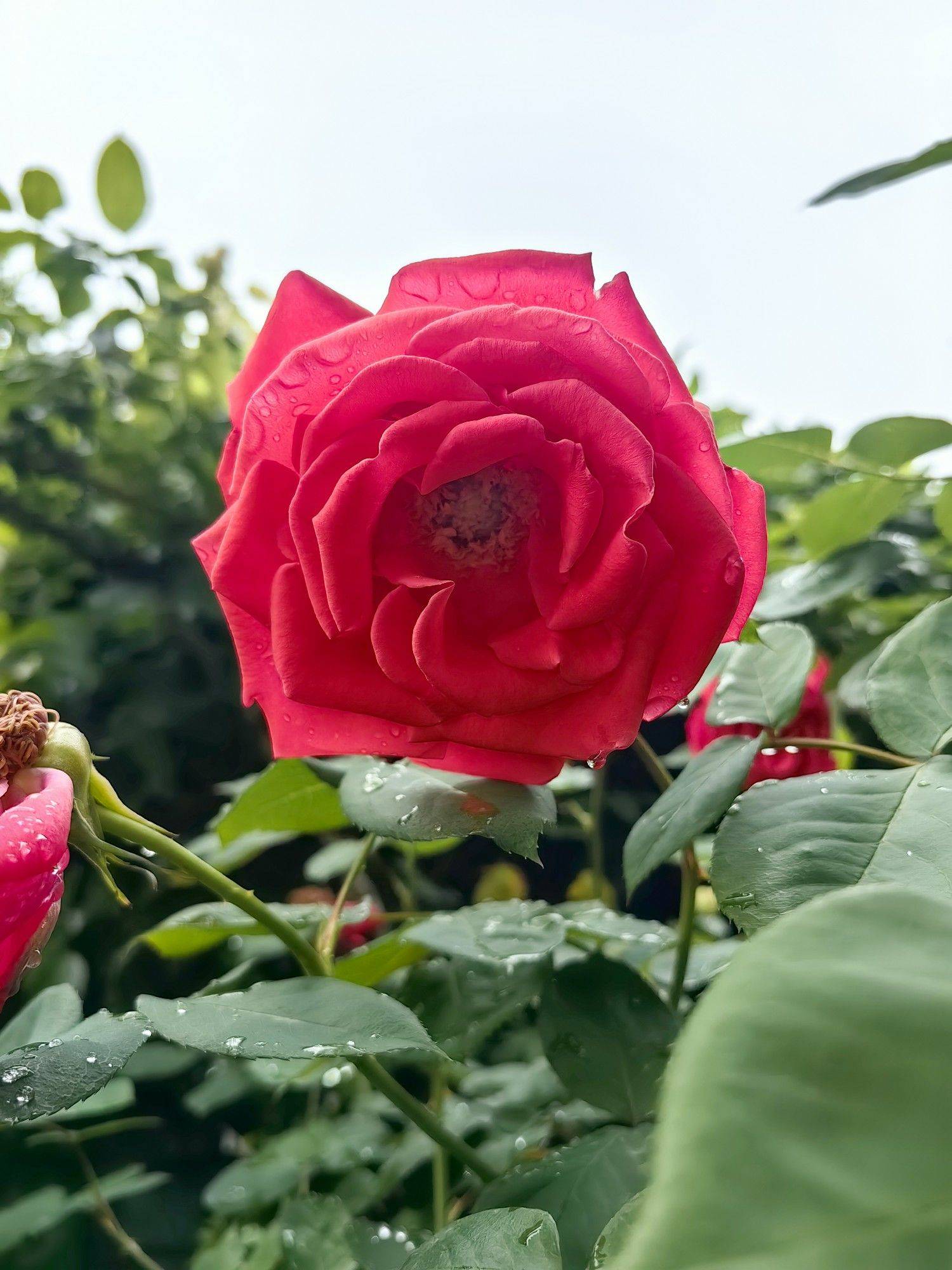 收集春天的小确幸_2