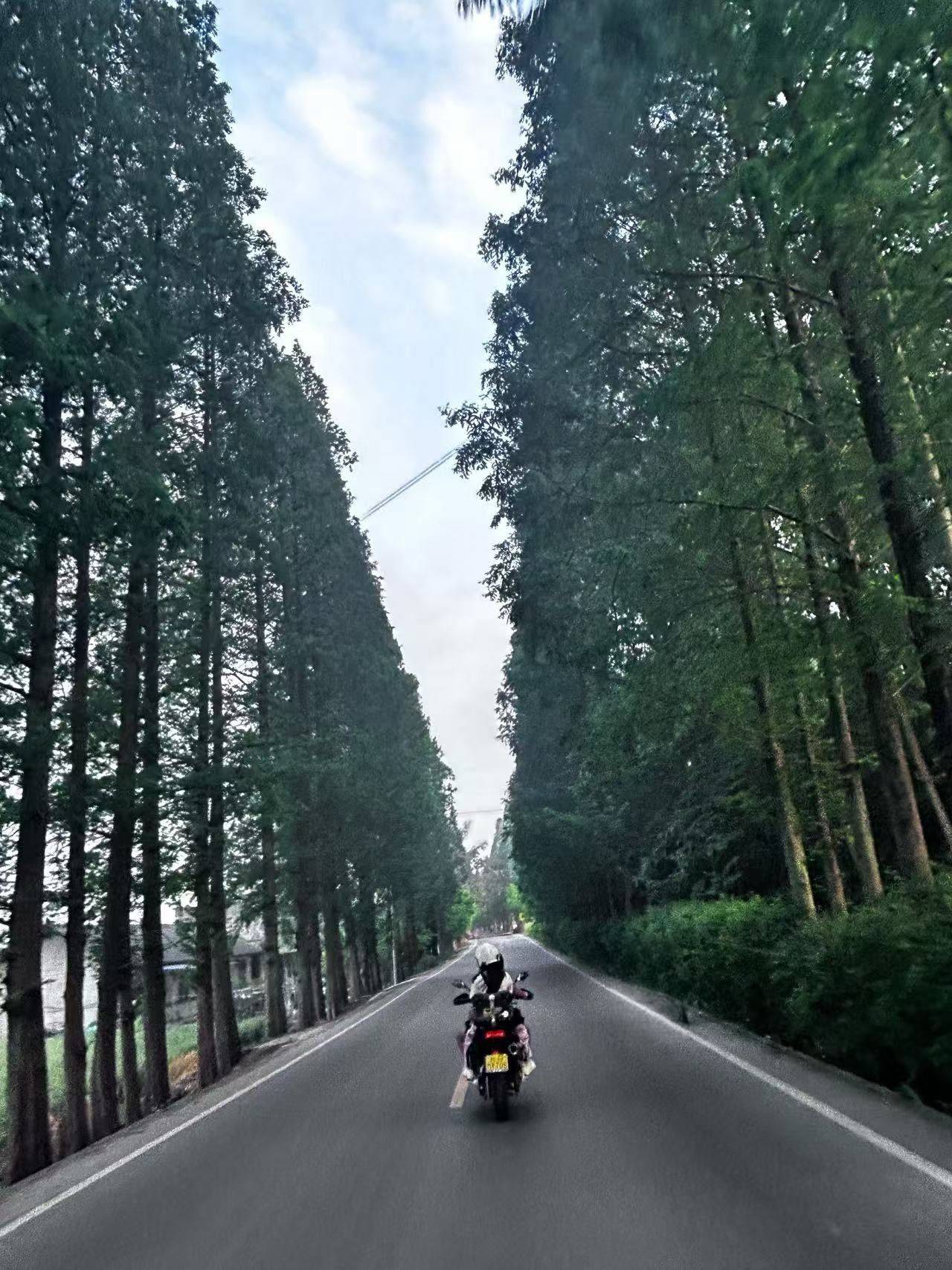 租房看我，能带你跑山玩水那种