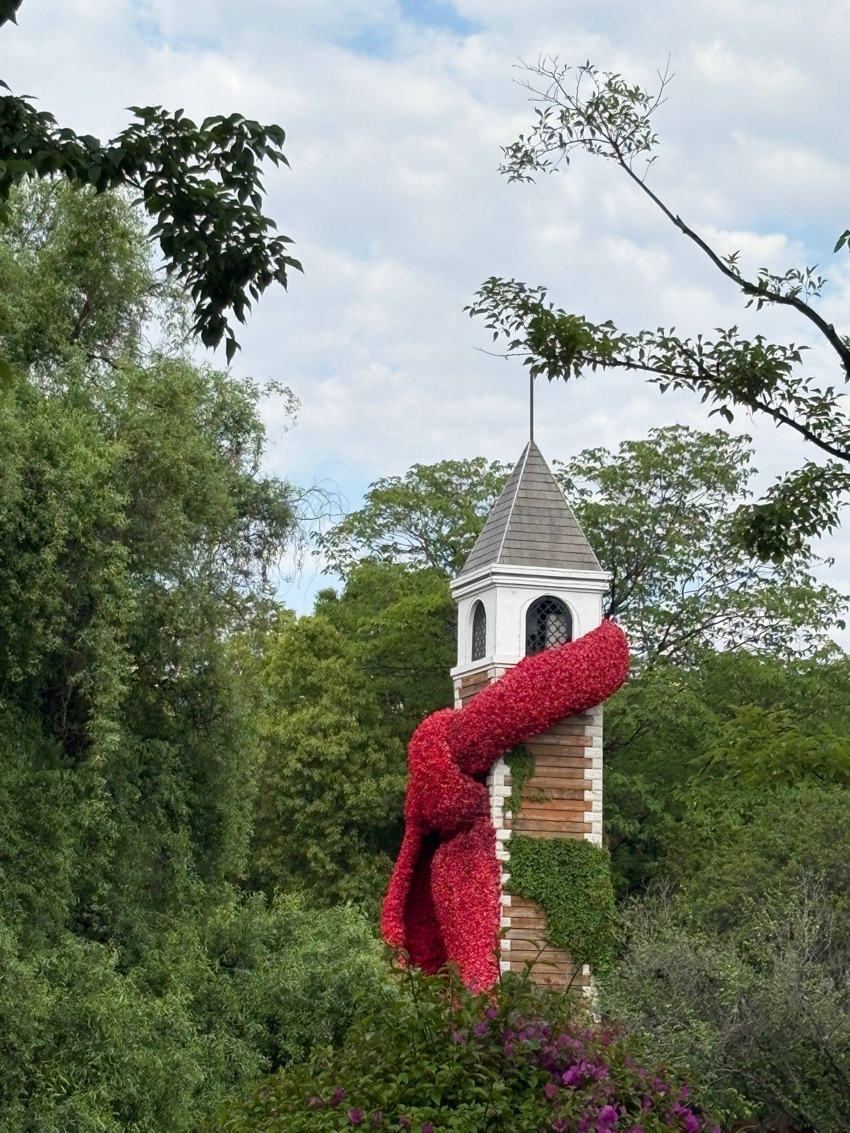 翠湖的超绝生命力磁场_2