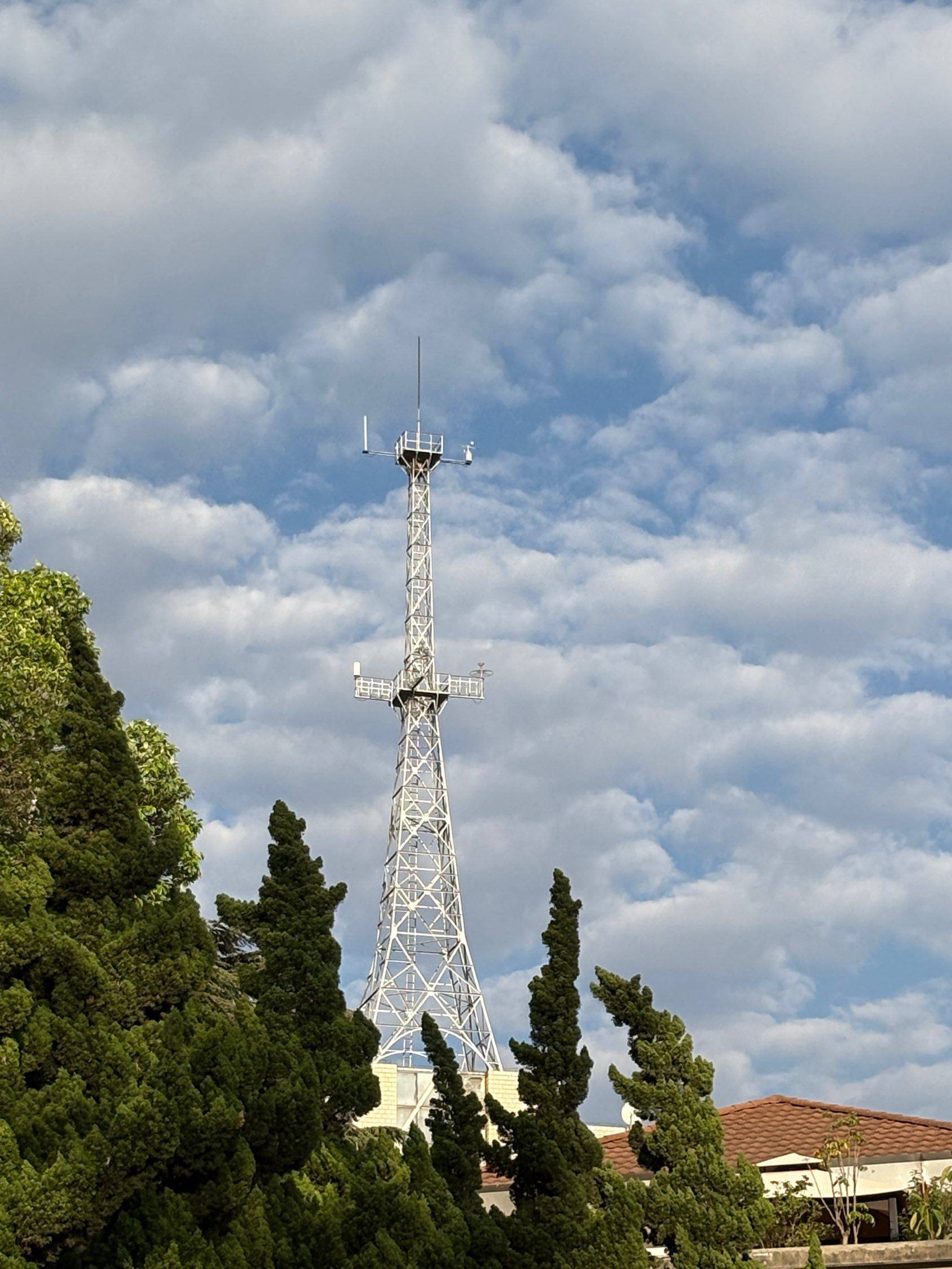 翠湖的超绝生命力磁场_4