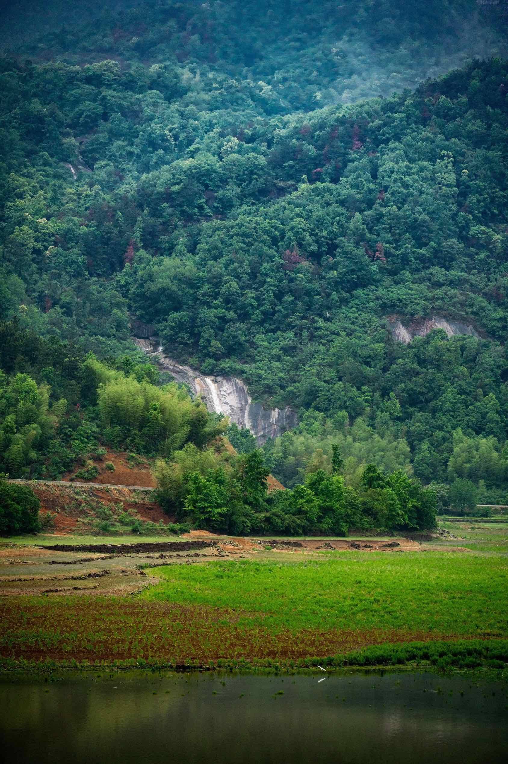 如果治愈有颜色，那一定是绿色学，这一刻好_0