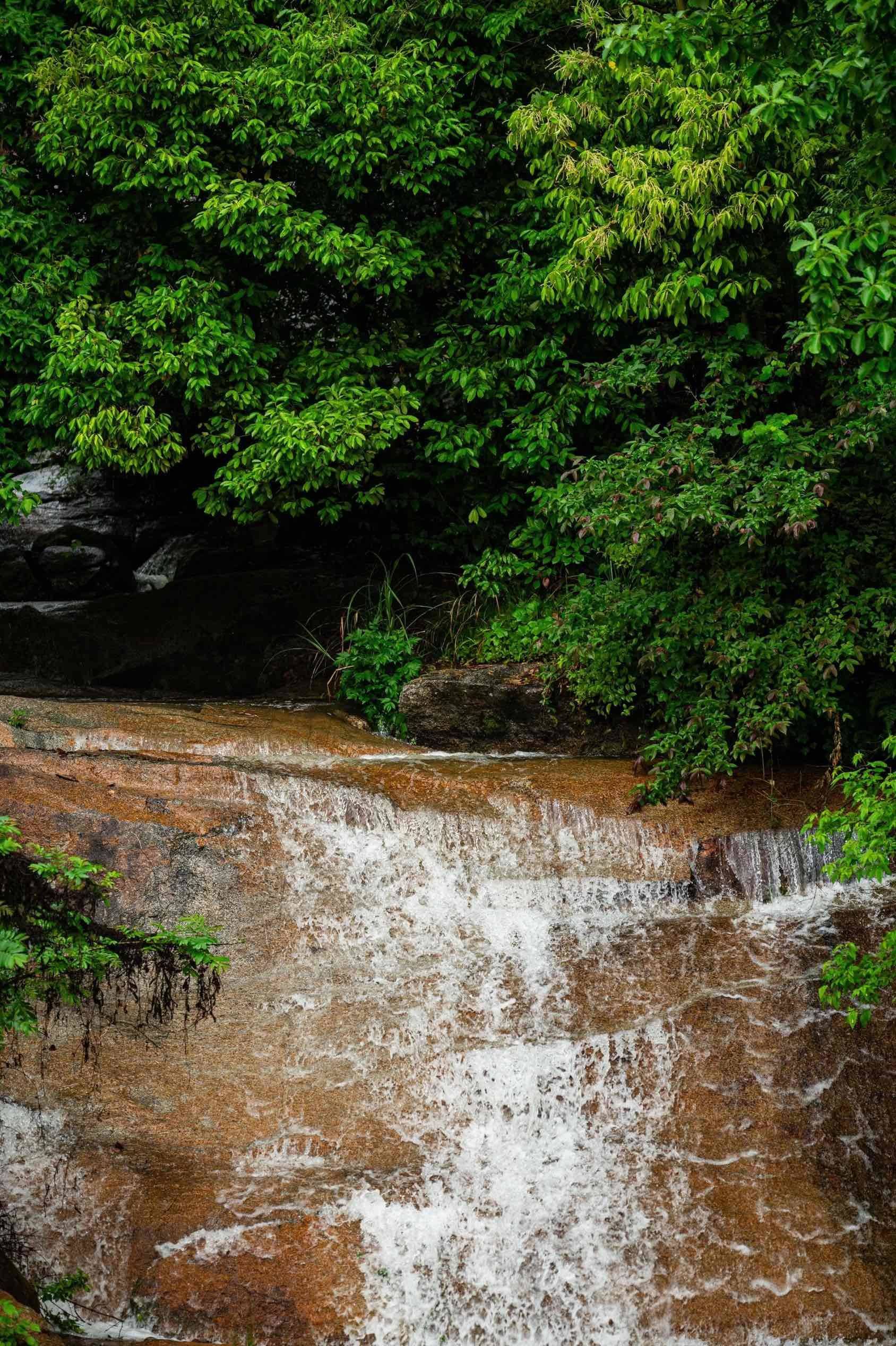 如果治愈有颜色，那一定是绿色学，这一刻好_3
