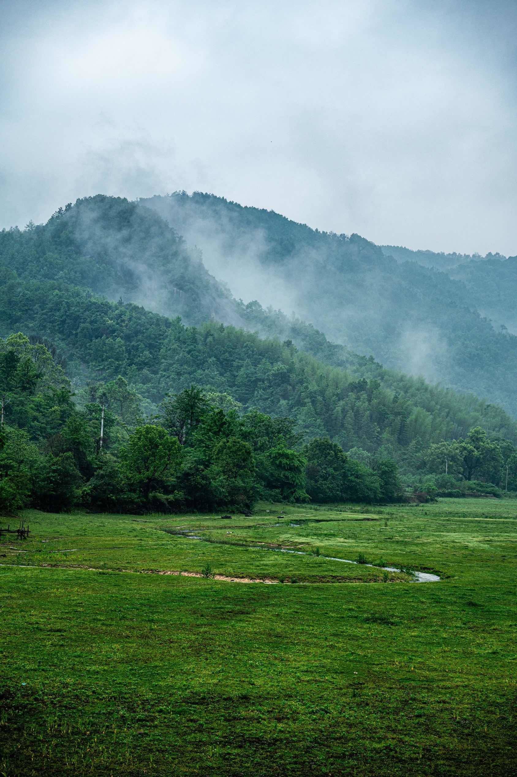 如果治愈有颜色，那一定是绿色学，这一刻好_1