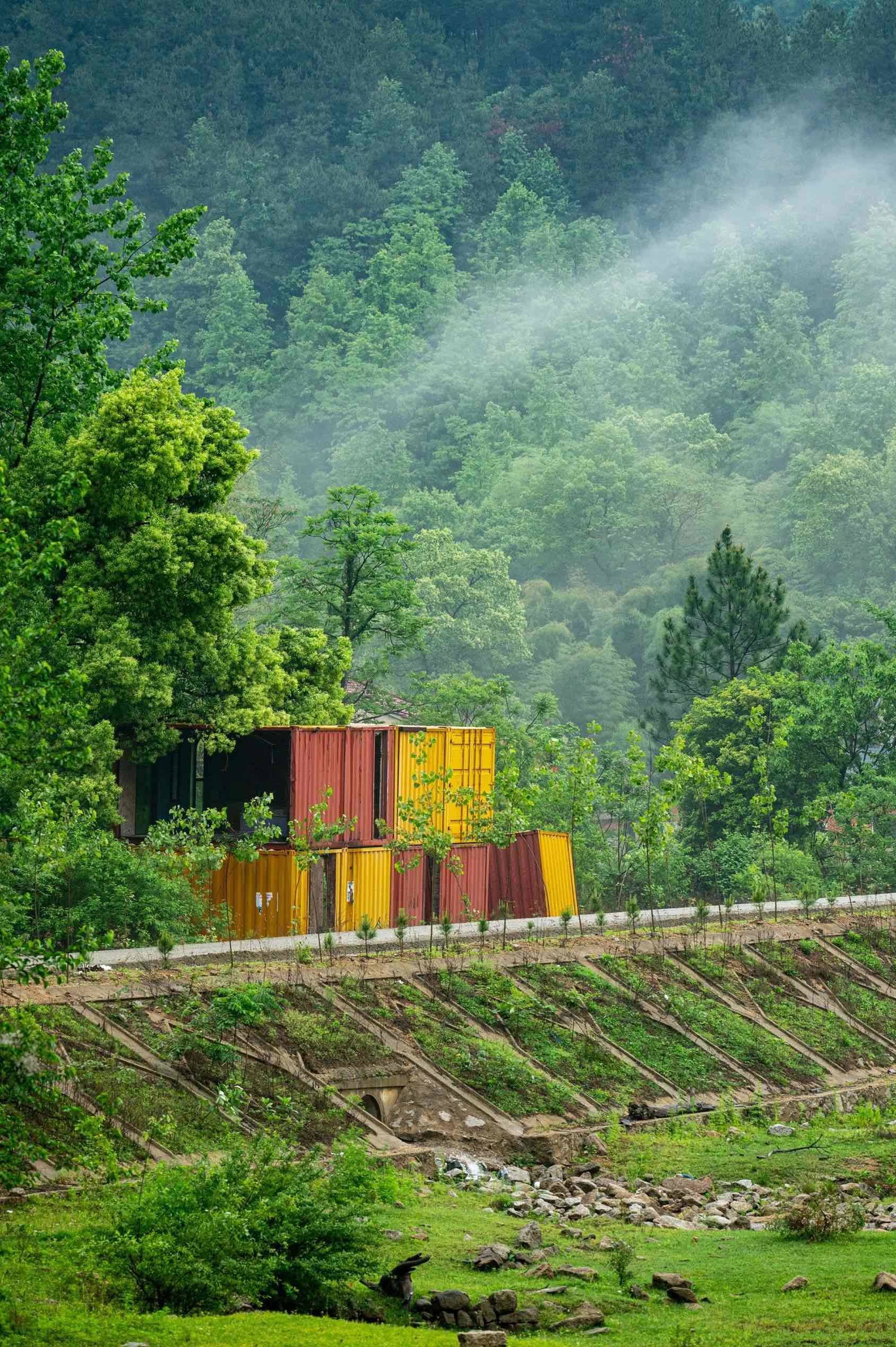 如果治愈有颜色，那一定是绿色学，这一刻好_4