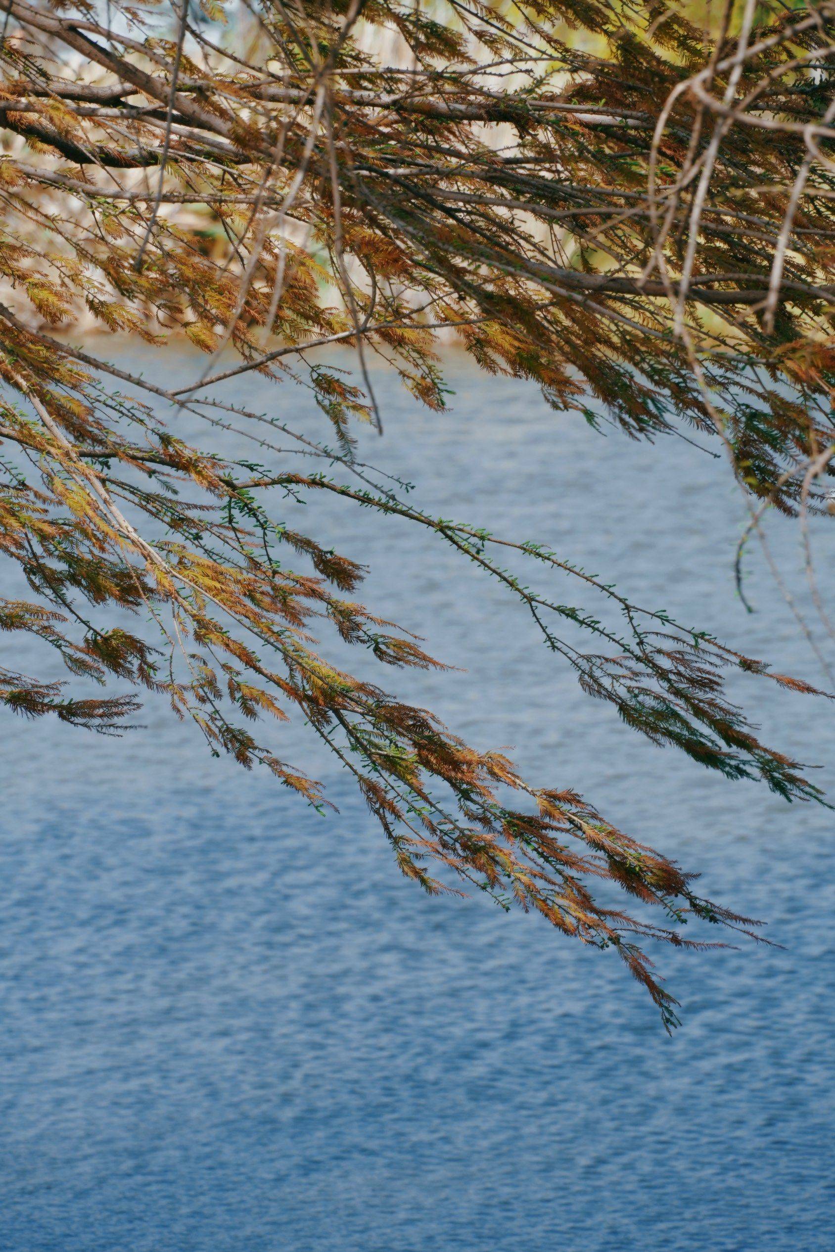 庾园｜禁止跳海_1