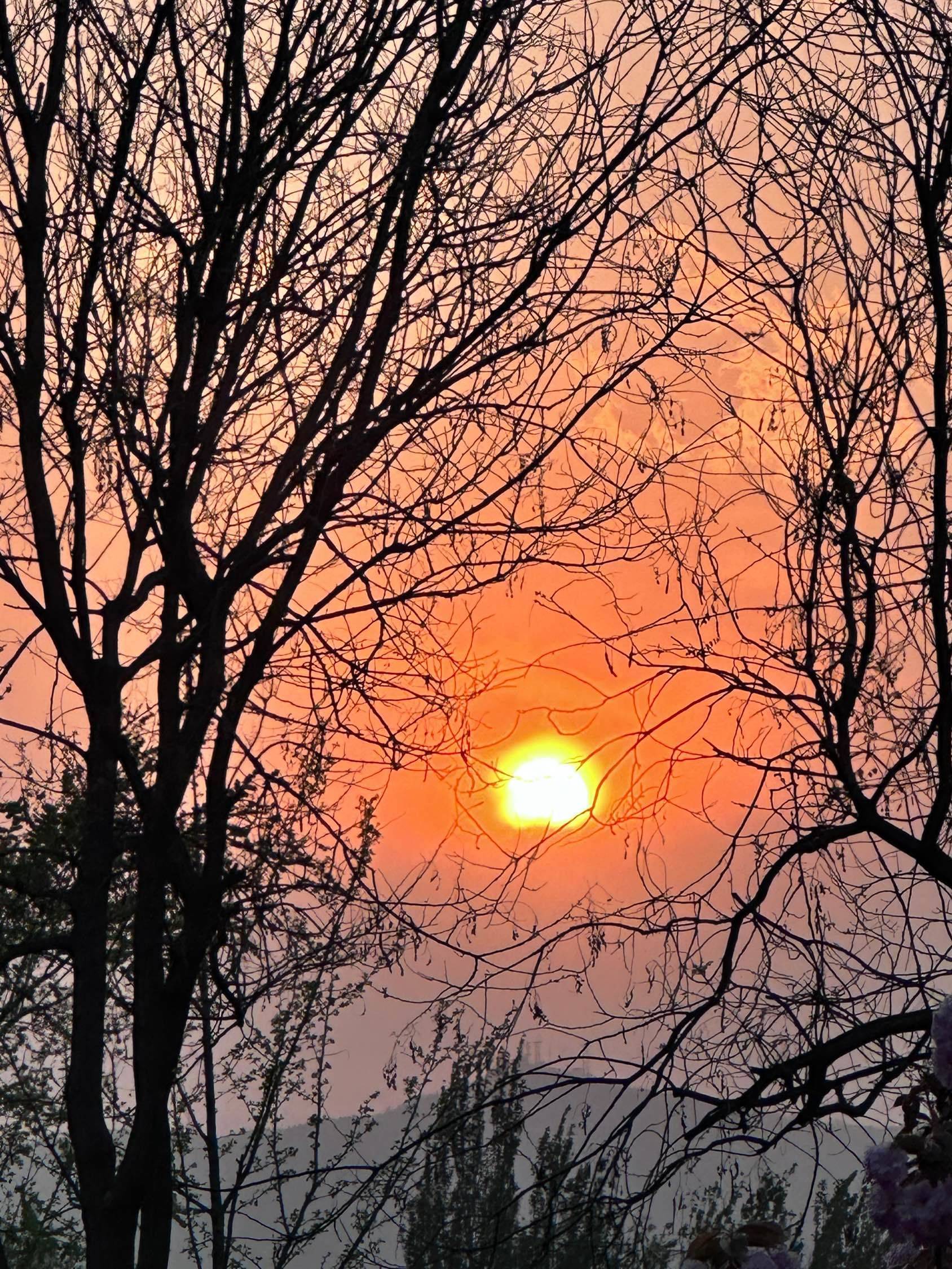 应届大学生海淀想合租一个,有房东看看我吗