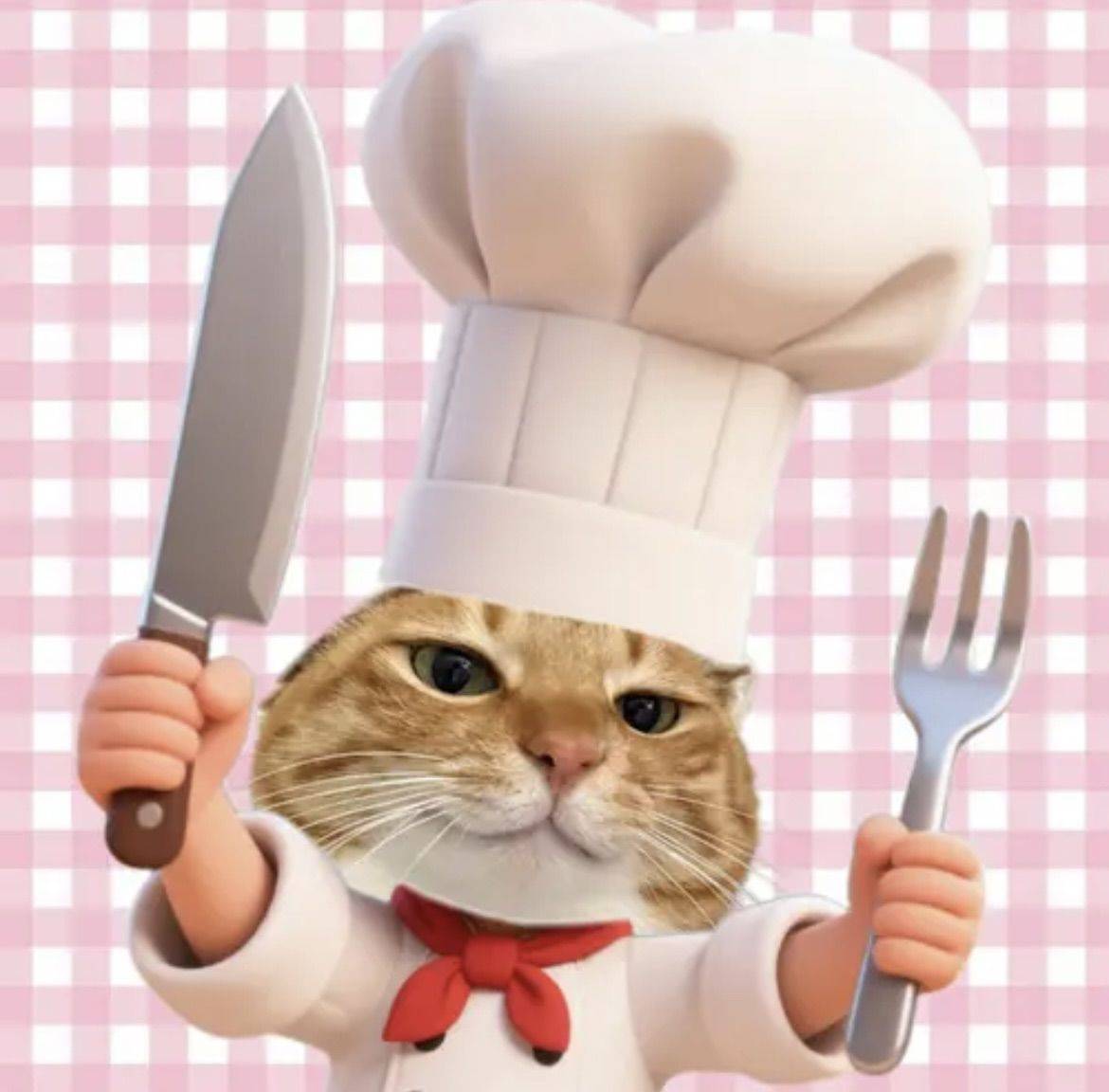我家猫大厨做的！        