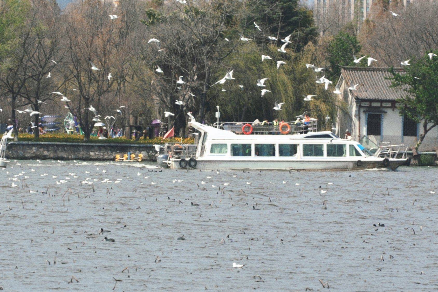 庾园｜禁止跳海_3