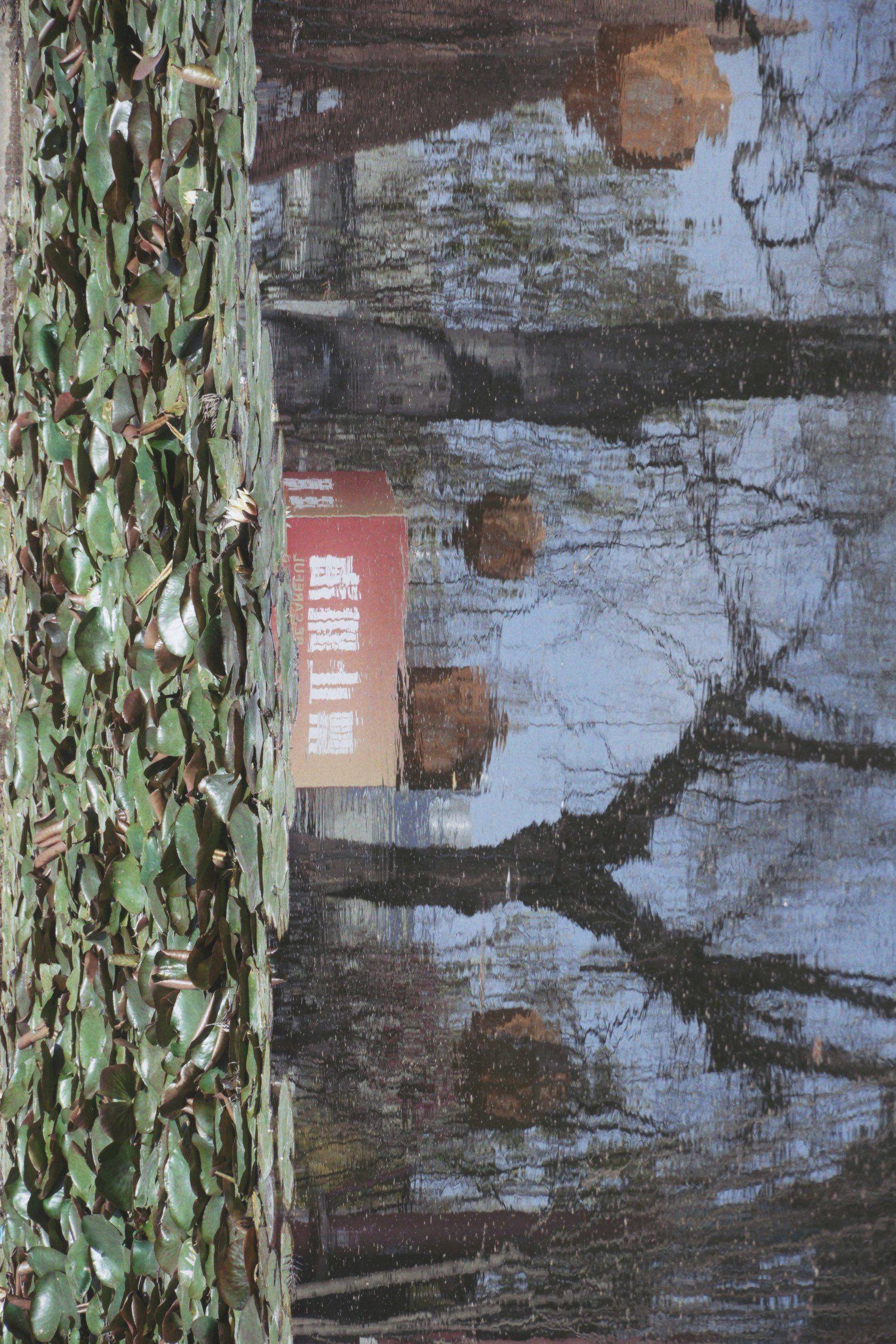 庾园｜禁止跳海