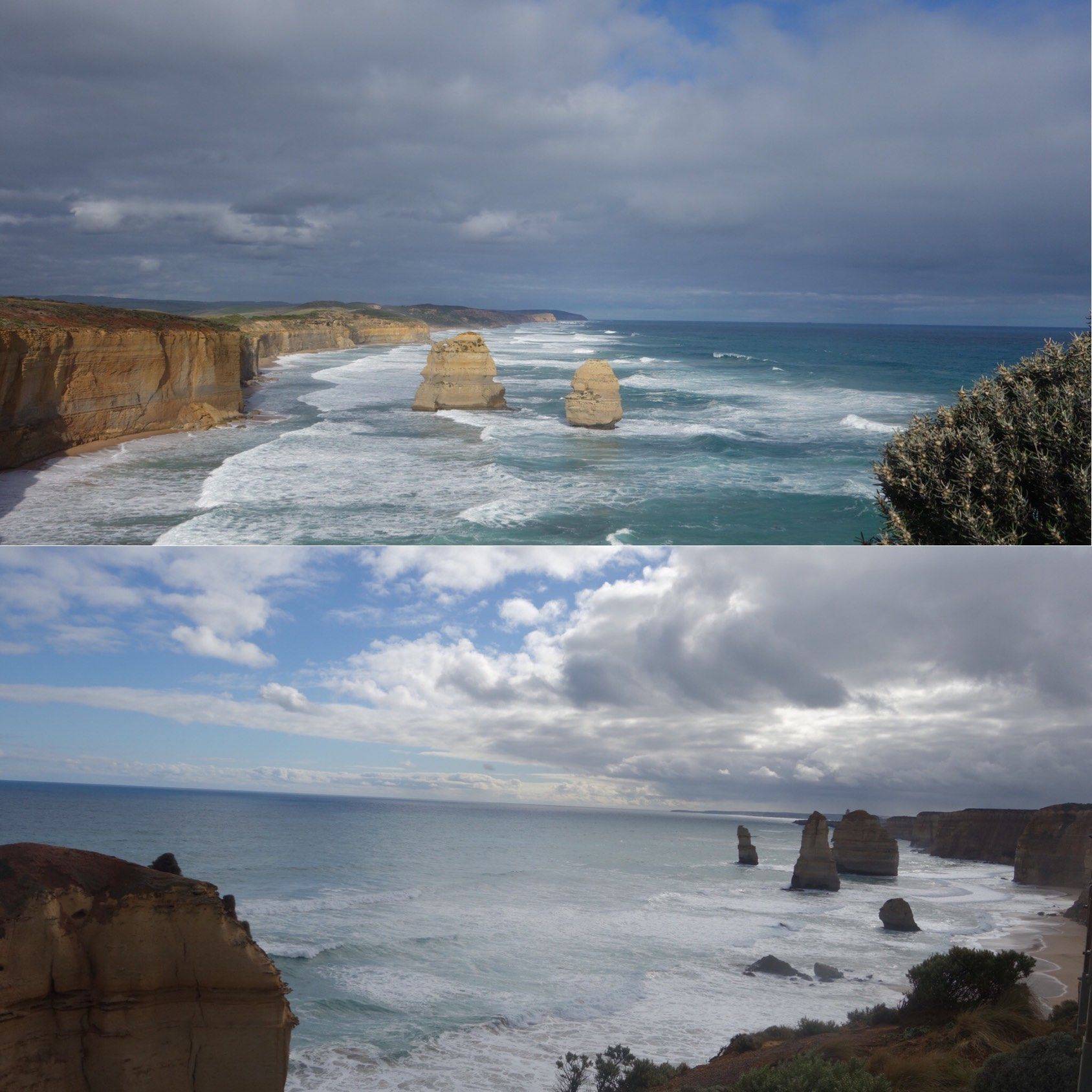 墨尔本动物园长颈鹿🦒_1