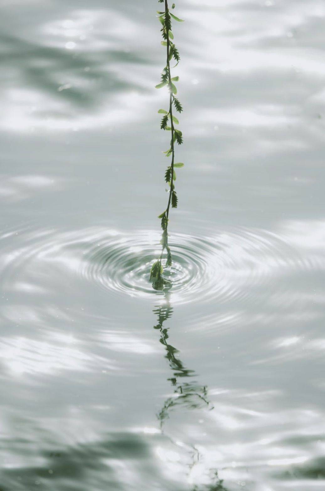 摄影是一种心灵按摩_0