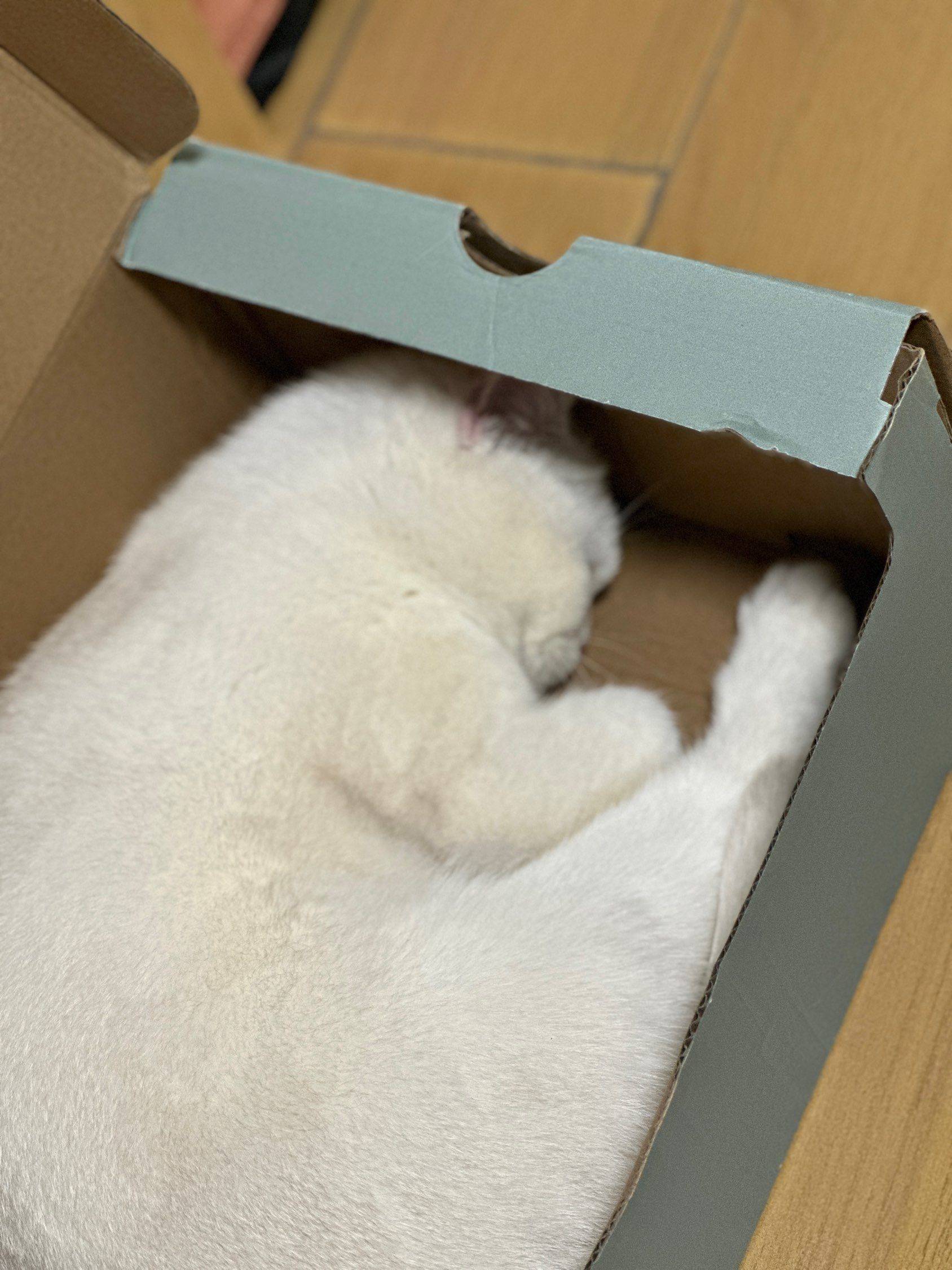 深圳龙华 蹲一个合租舍友_0