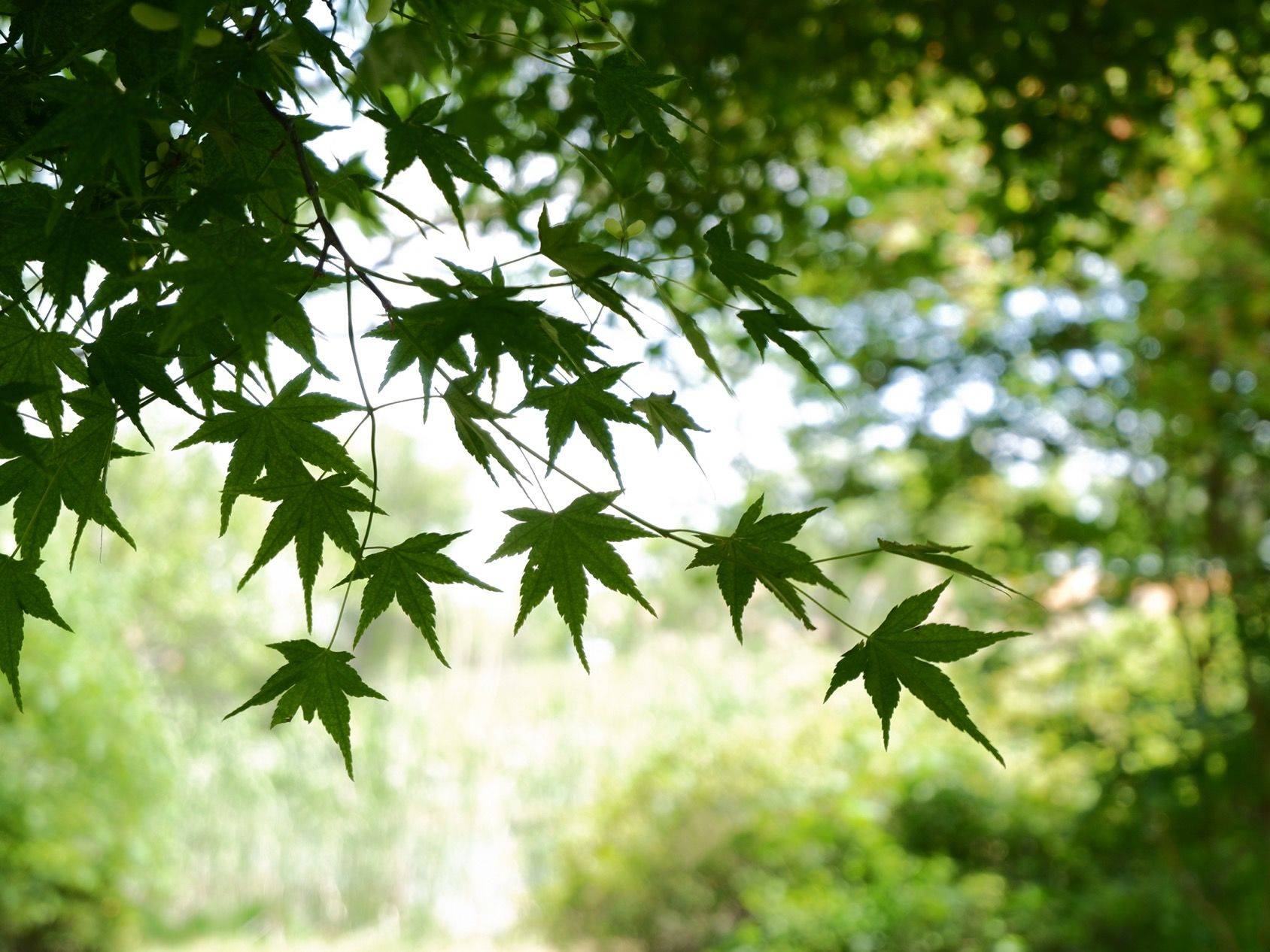 工作是为了更好的生活，大城市太喧嚣了_2