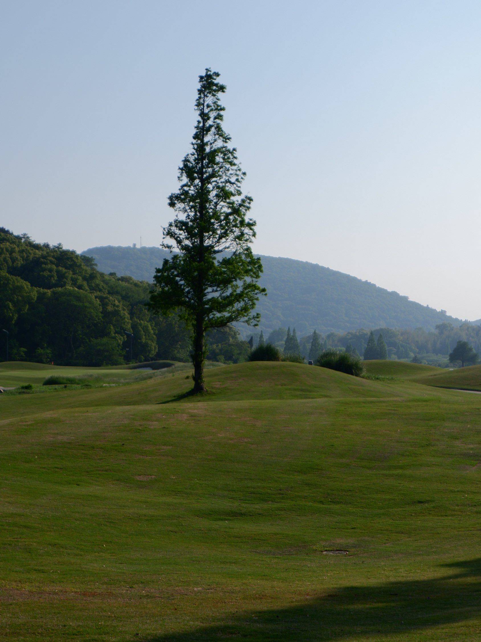 工作是为了更好的生活，大城市太喧嚣了_4