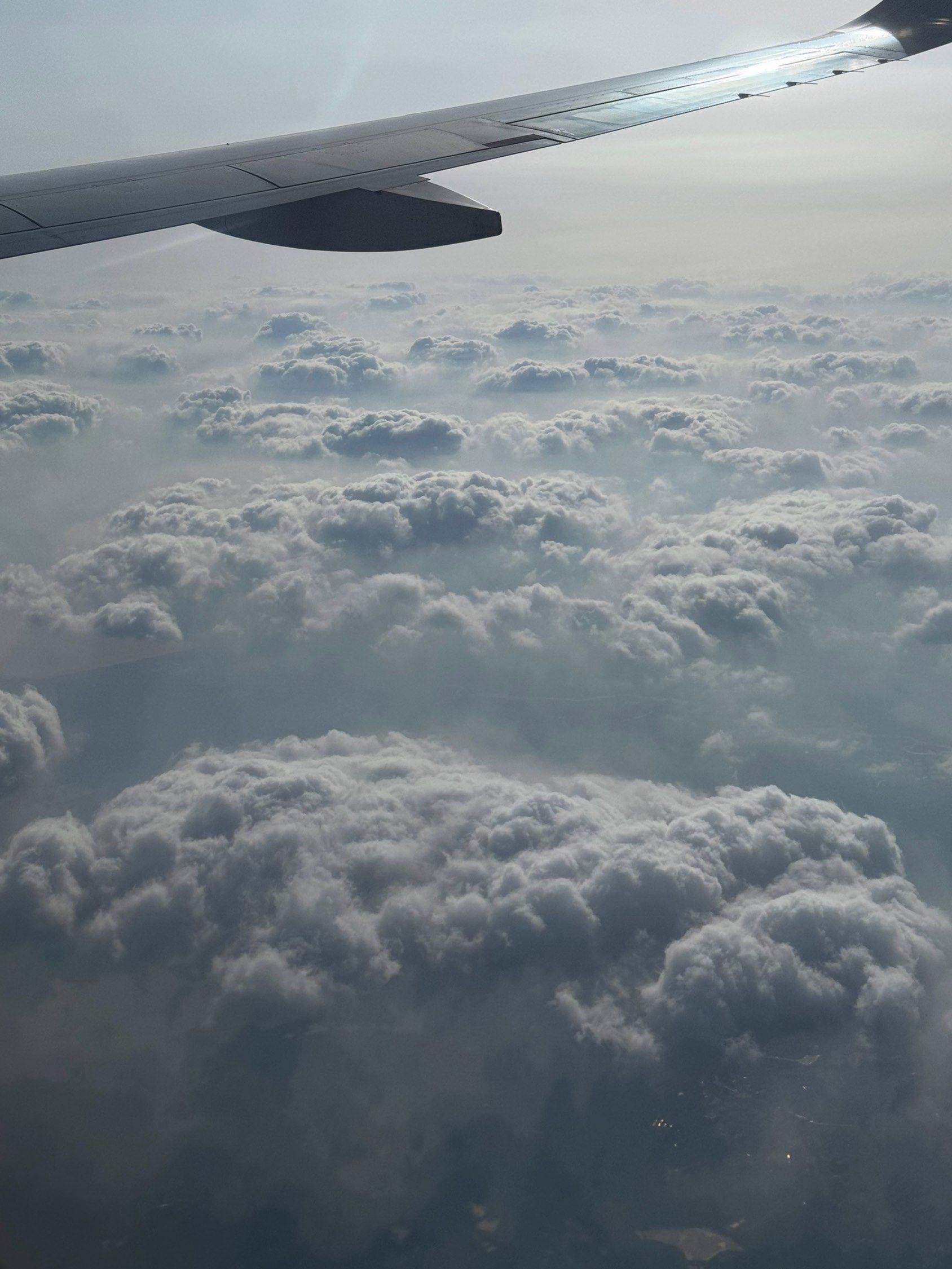 生活应该属于远方，但是不能没有如果远方