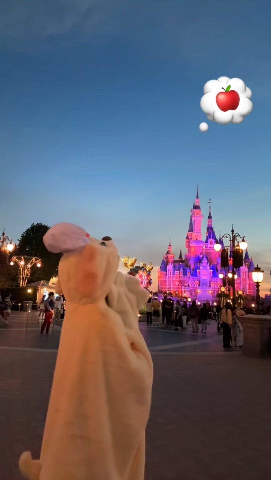 祝你有神奇的一天 ❤️