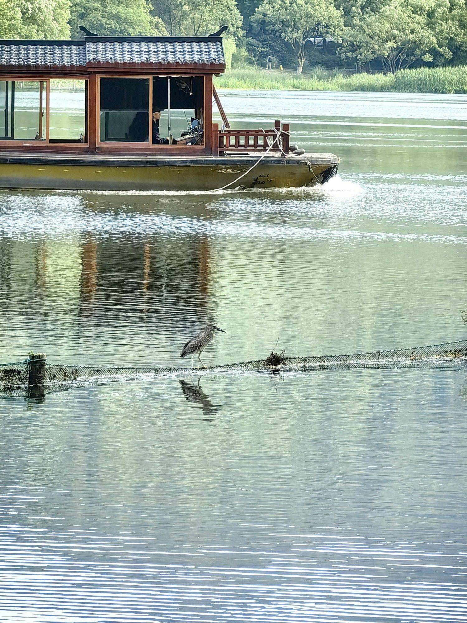 【立夏｜让生命如夏花般自由绽放】_4