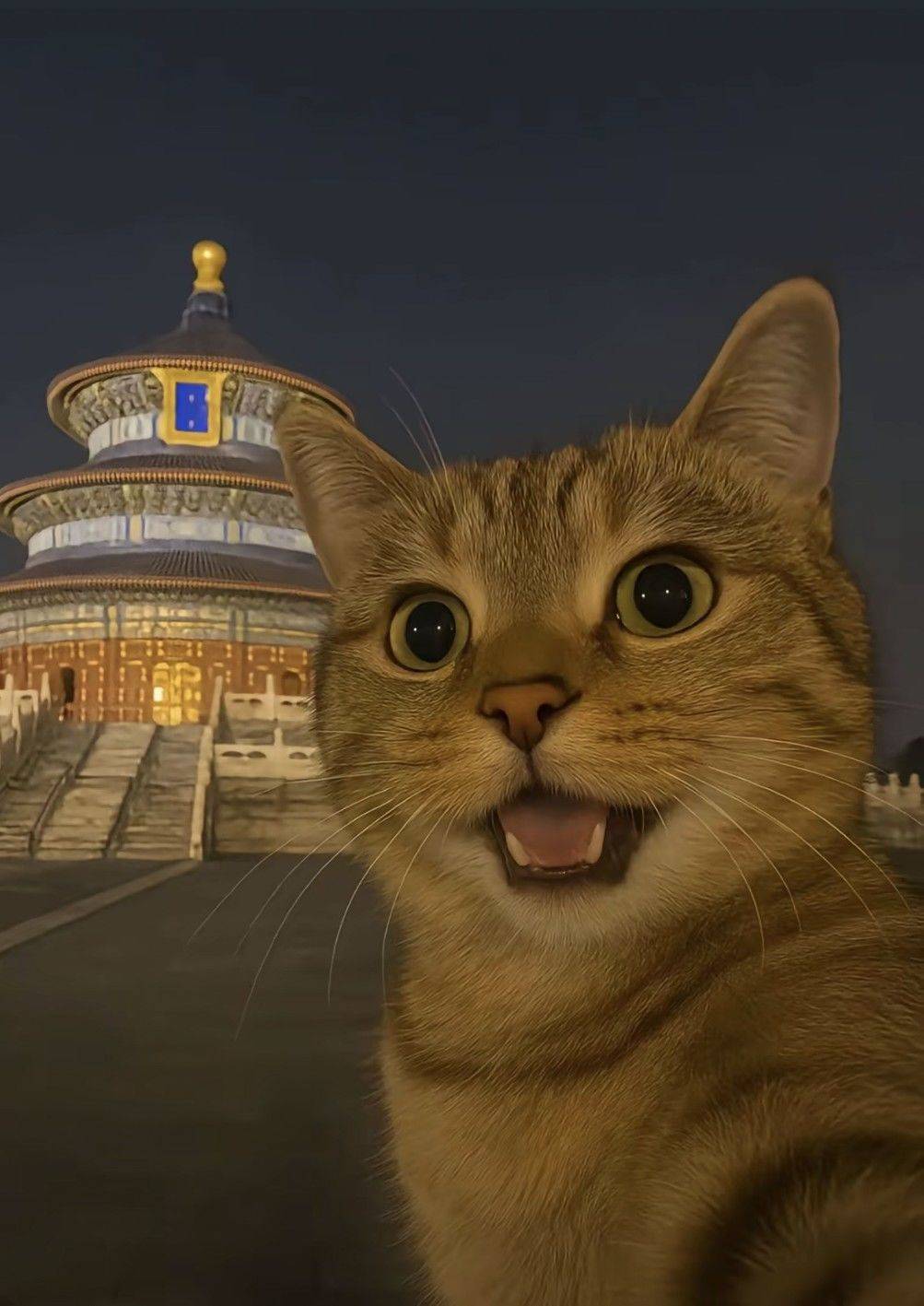 真想出去玩唉_0