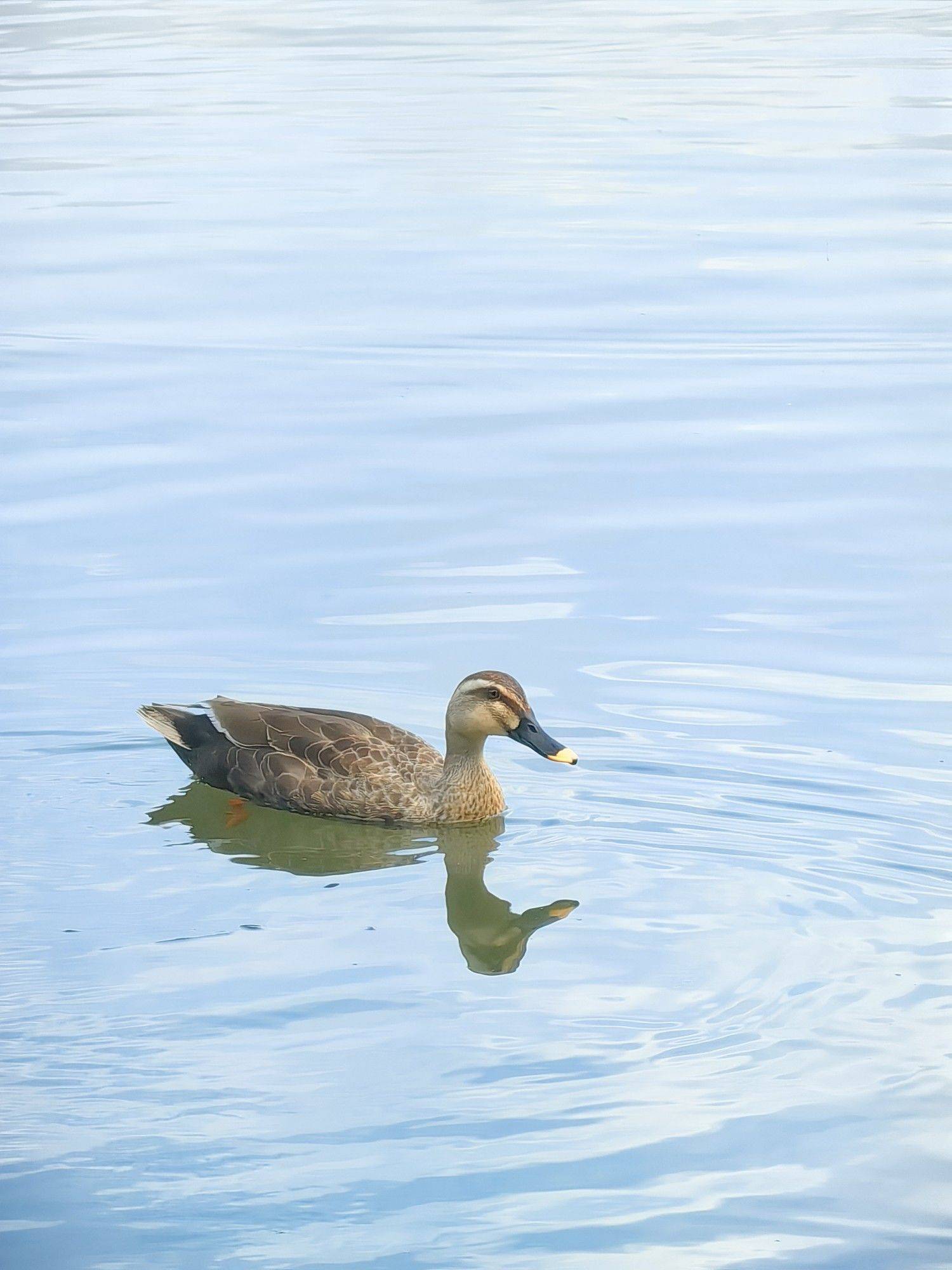 【立夏｜让生命如夏花般自由绽放】_3