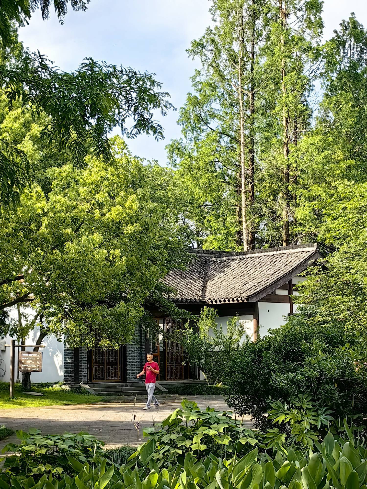 【立夏｜让生命如夏花般自由绽放】_1