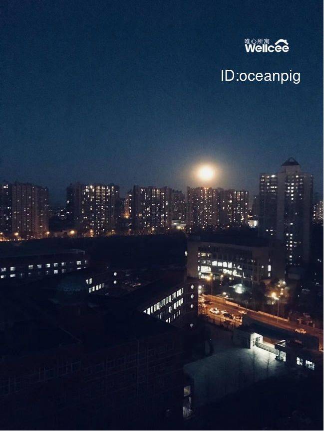 独在异乡为异客 每逢佳节倍思亲