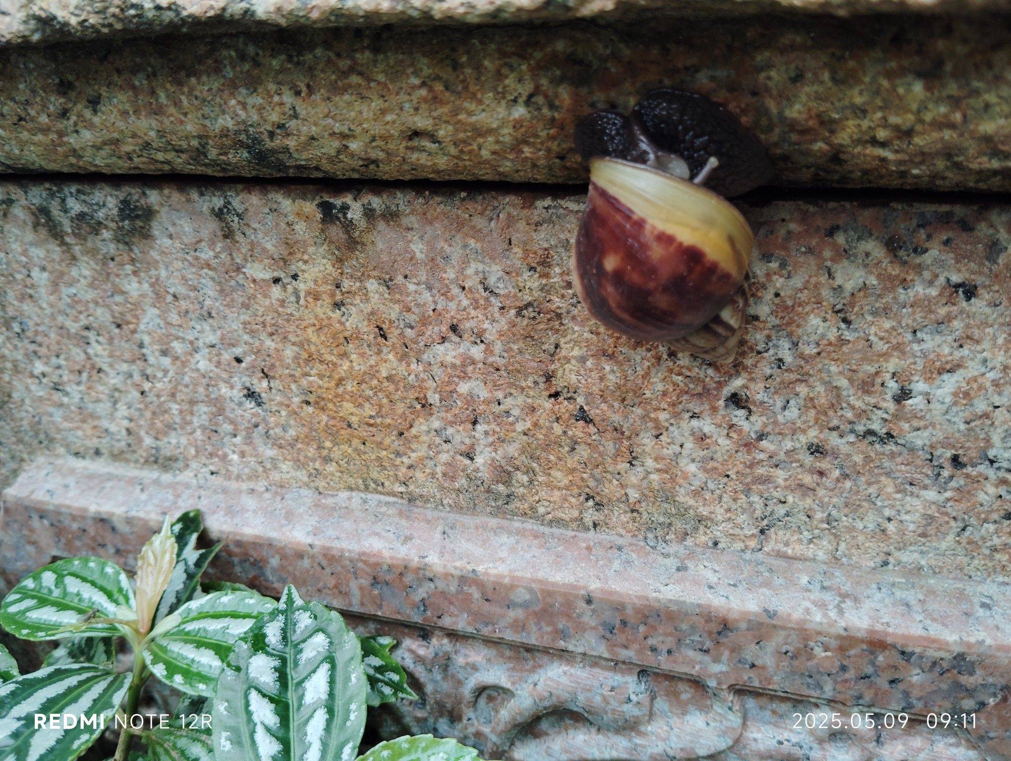 广州天河棠下，处处充满烟火气