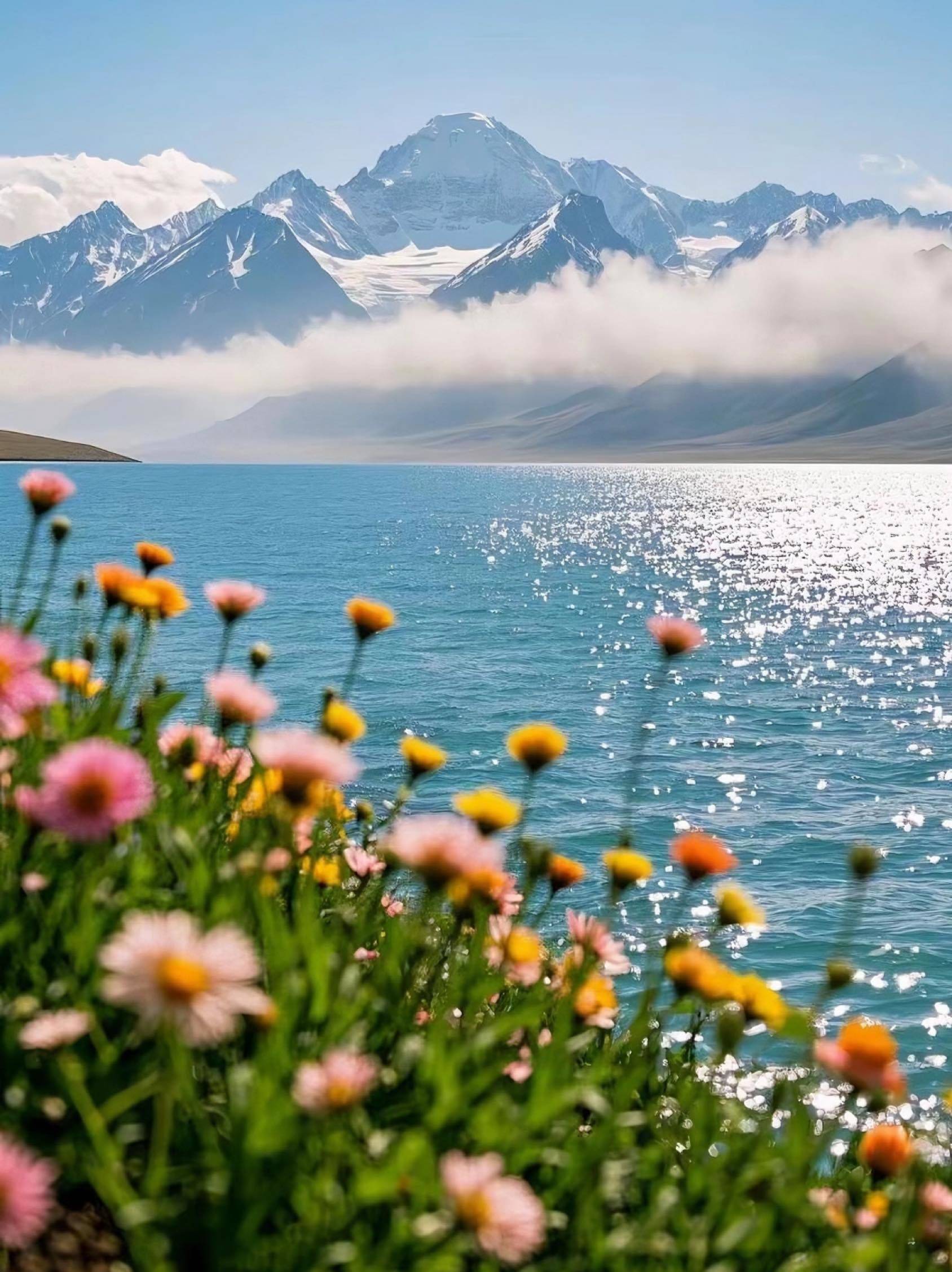 被好风景收买_1