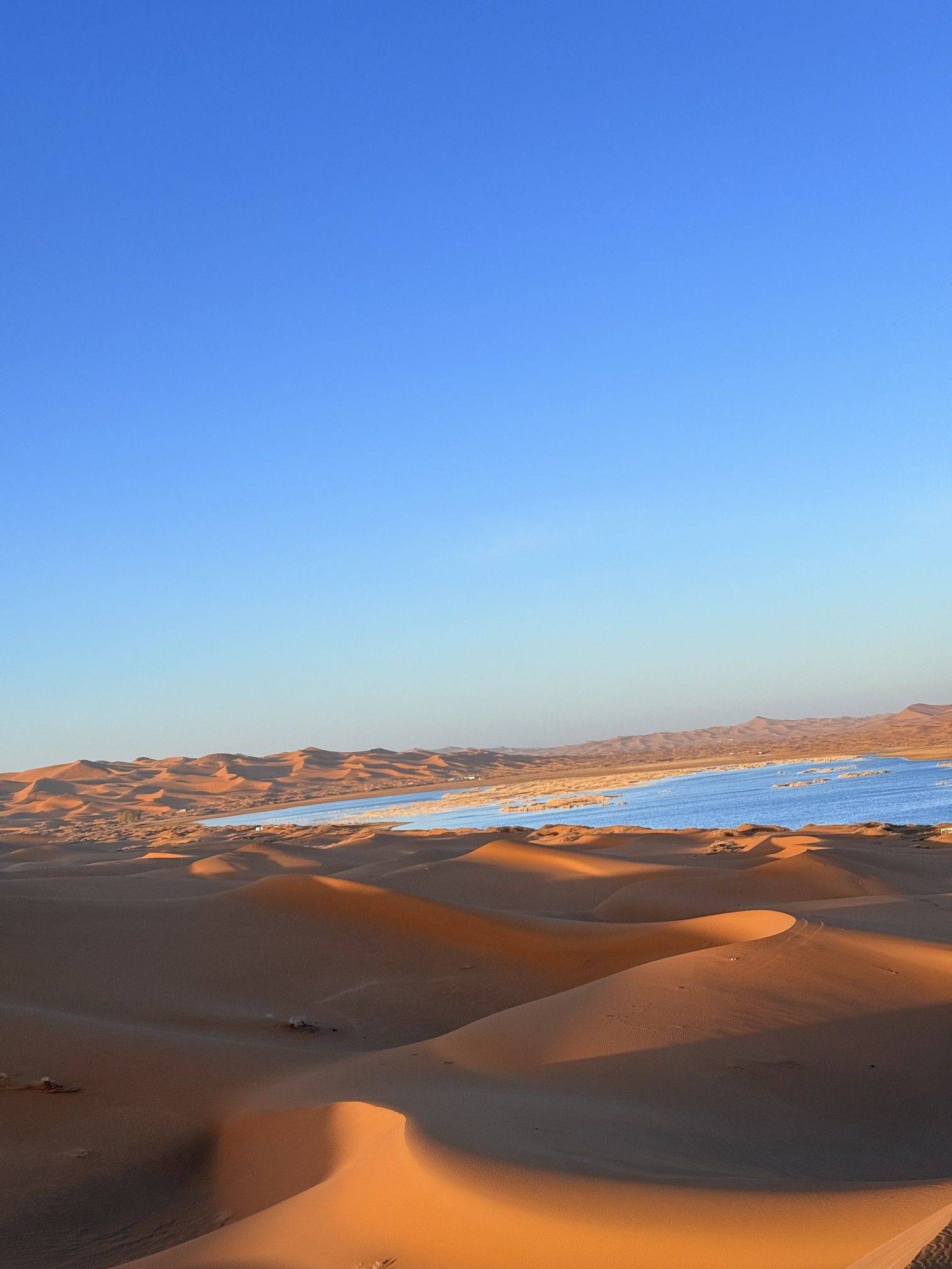 也许时间是一种解药_1