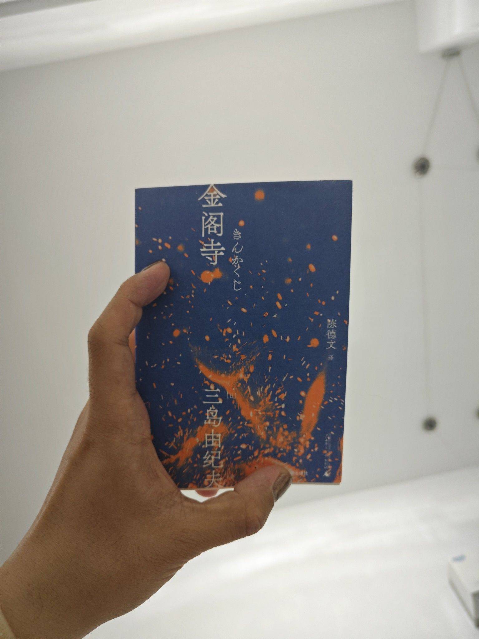 我唯一的自豪就是不被人理解，所以从未有过