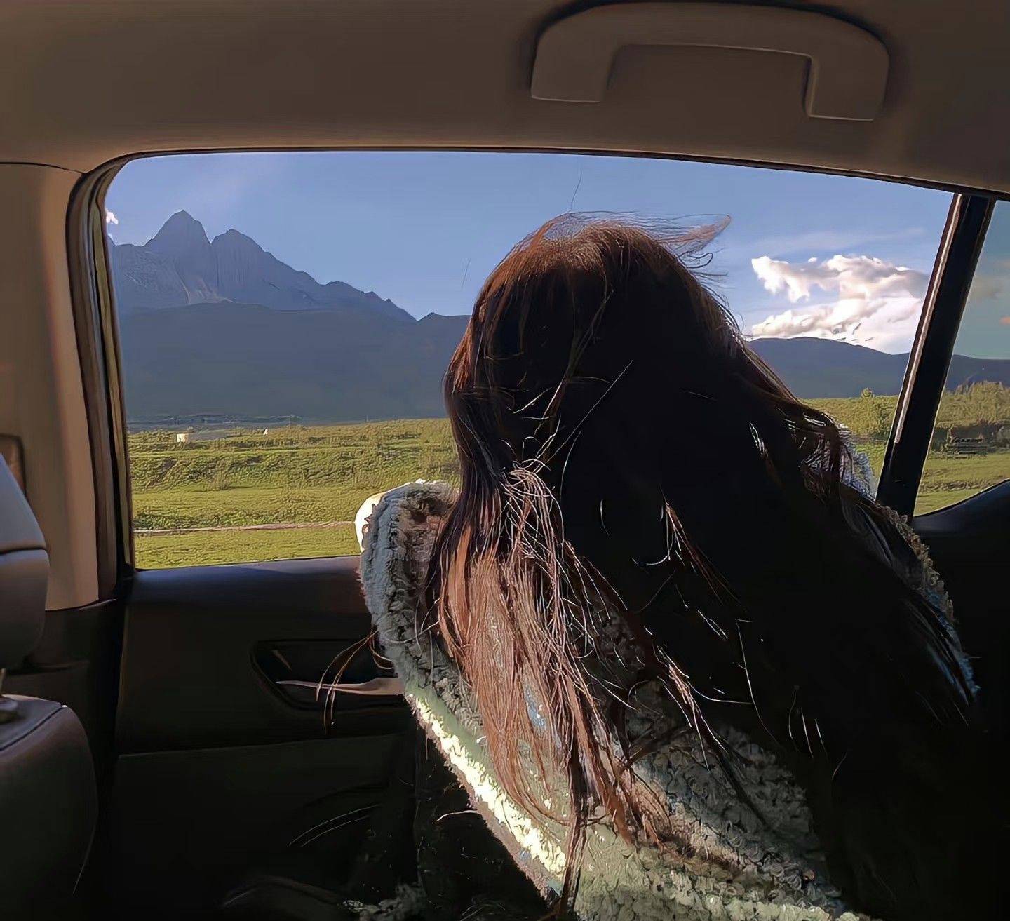 一起去追春天吧～_0