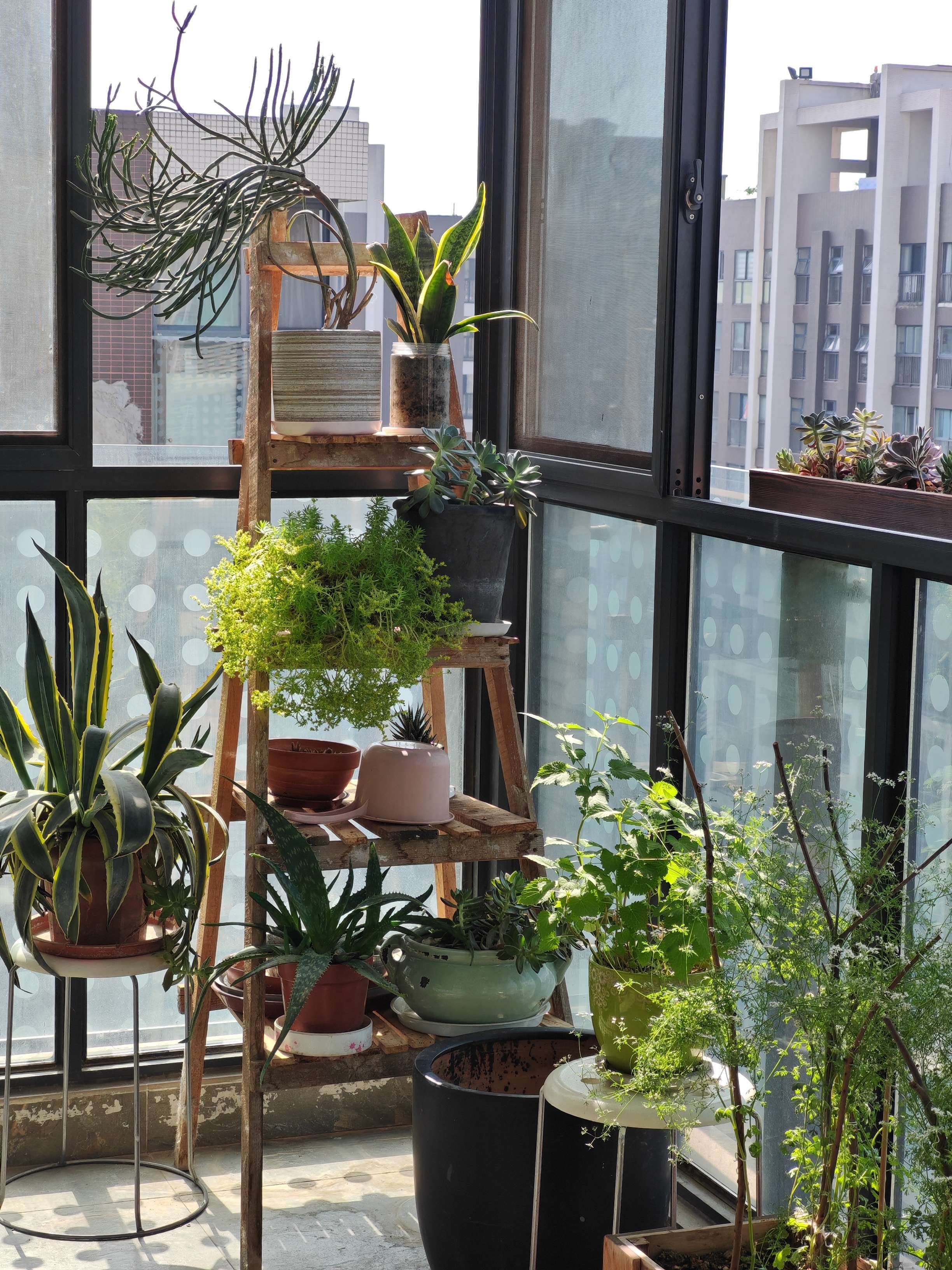 早上天好蓝阳光正好✨ 在线蹲室友  _1