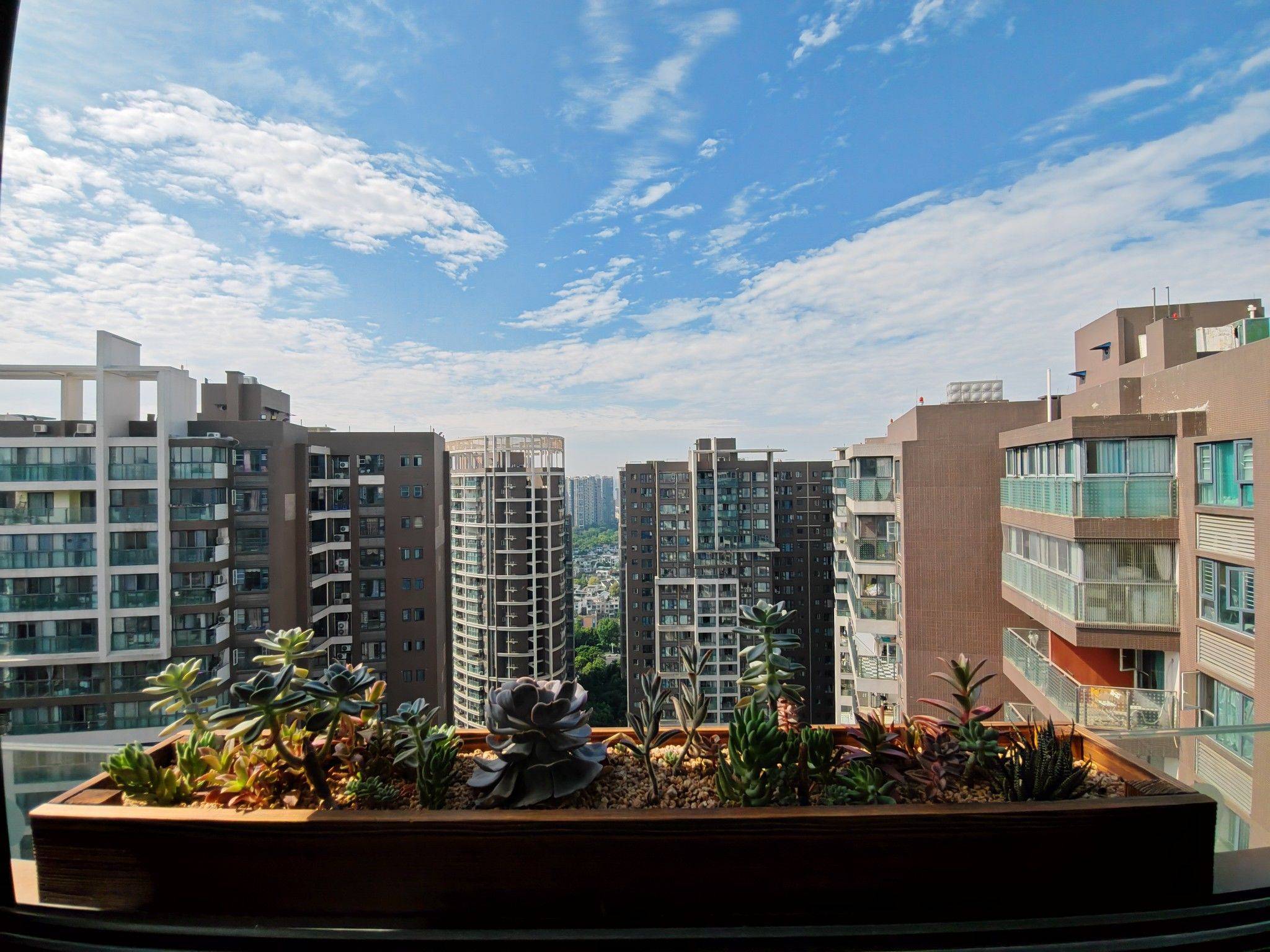 早上天好蓝阳光正好✨ 在线蹲室友  _0