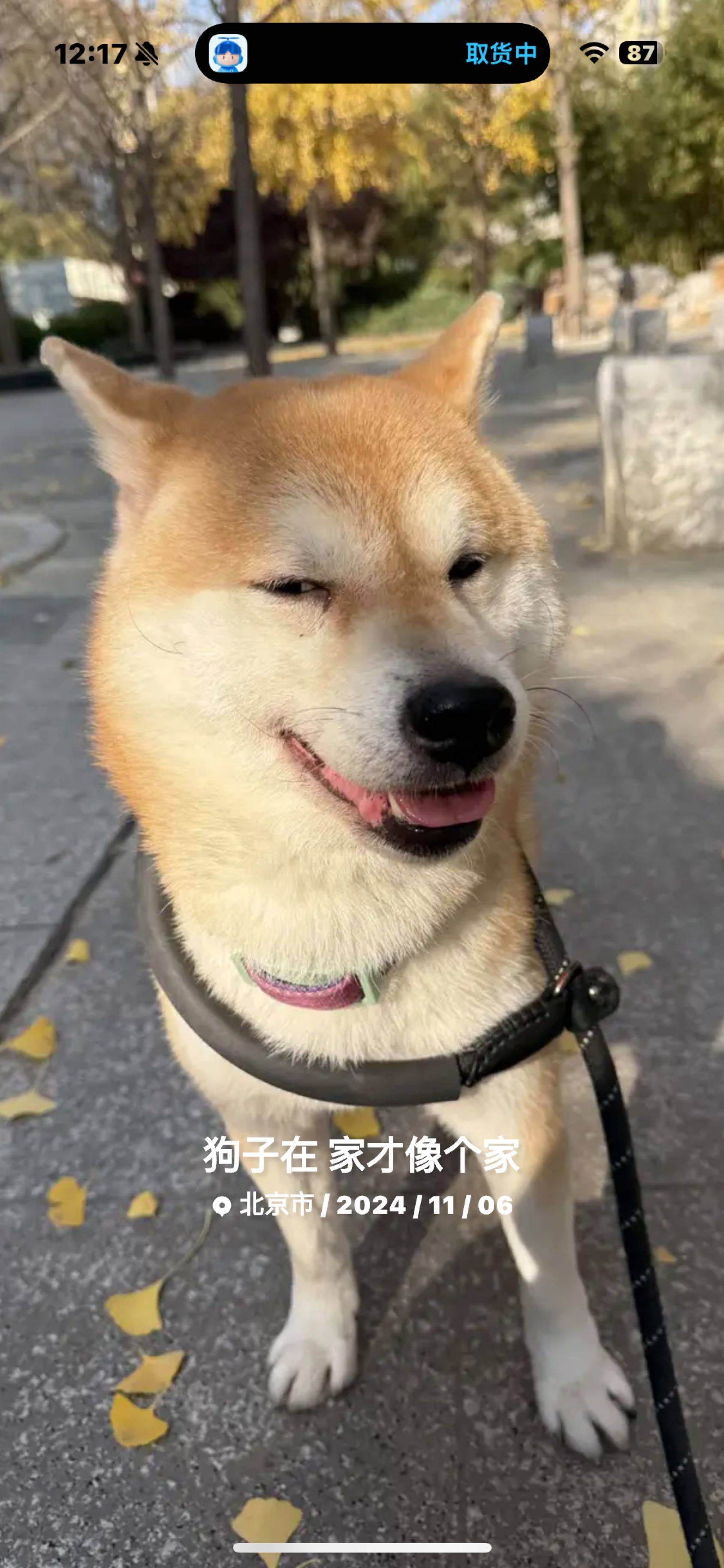 去年的照片，好好笑