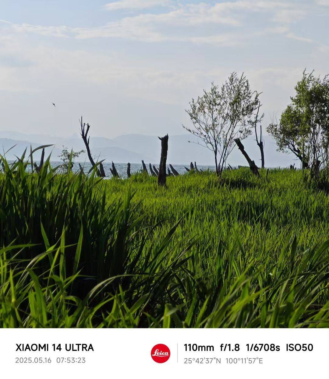 看那日出日落 _0