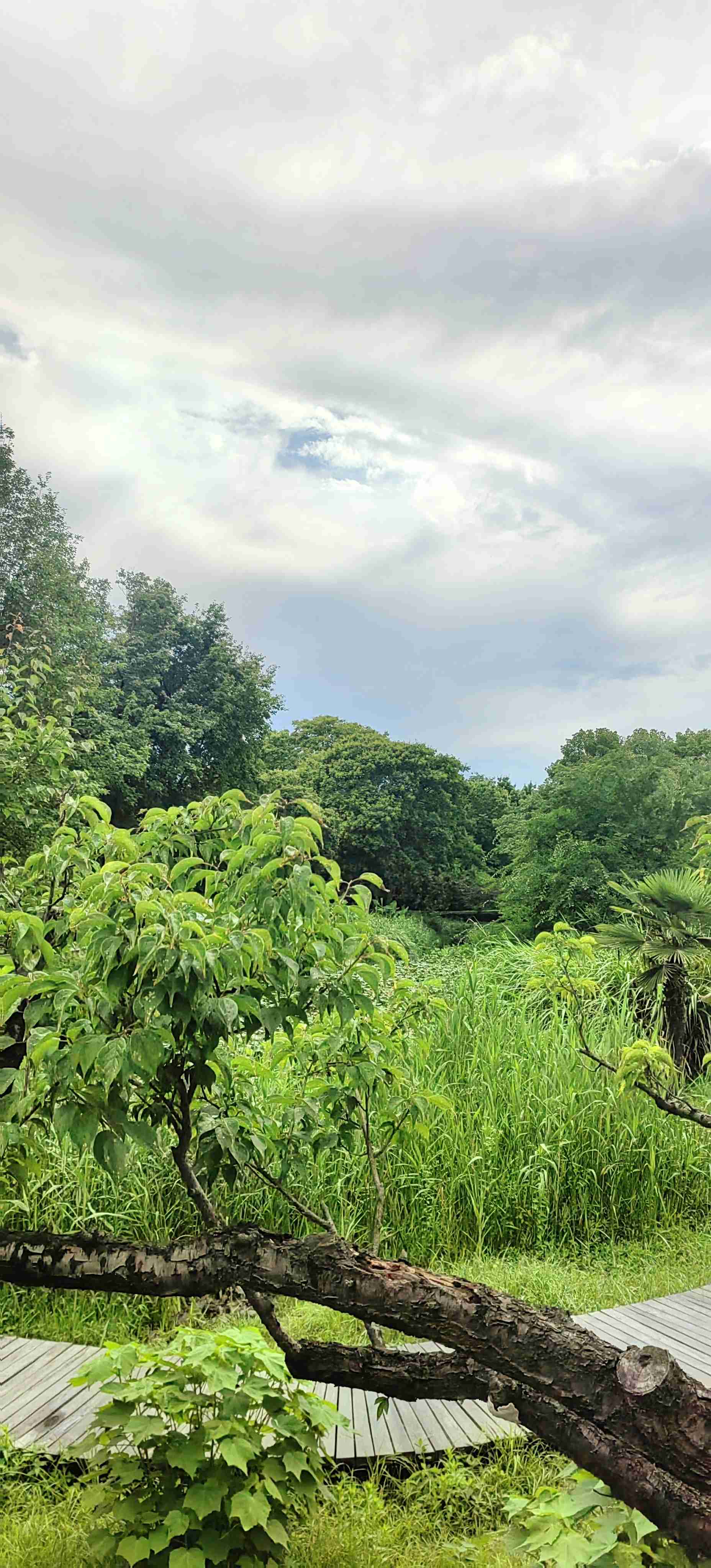 绿色眼前一亮_1