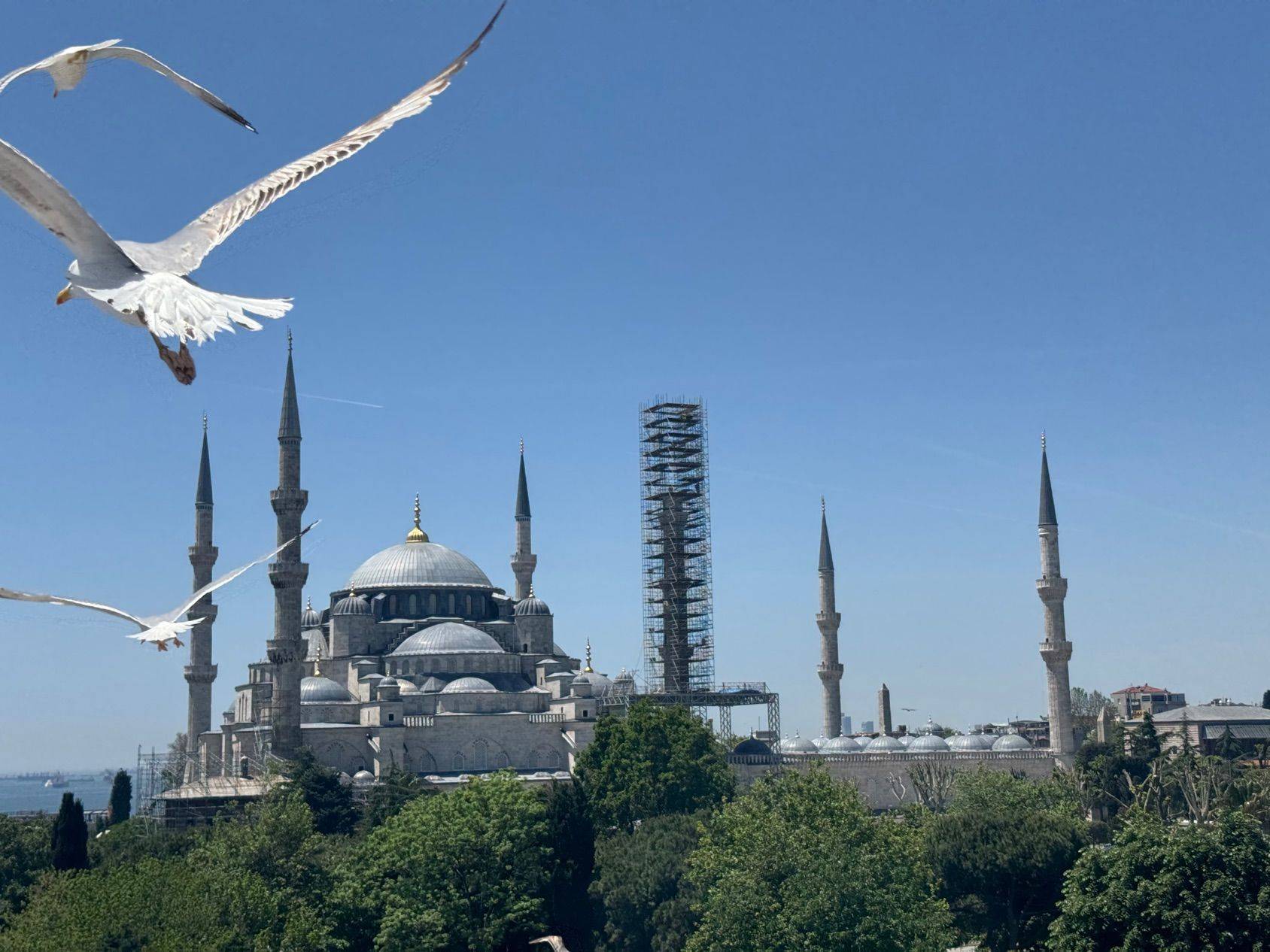 土耳其🇹🇷_3