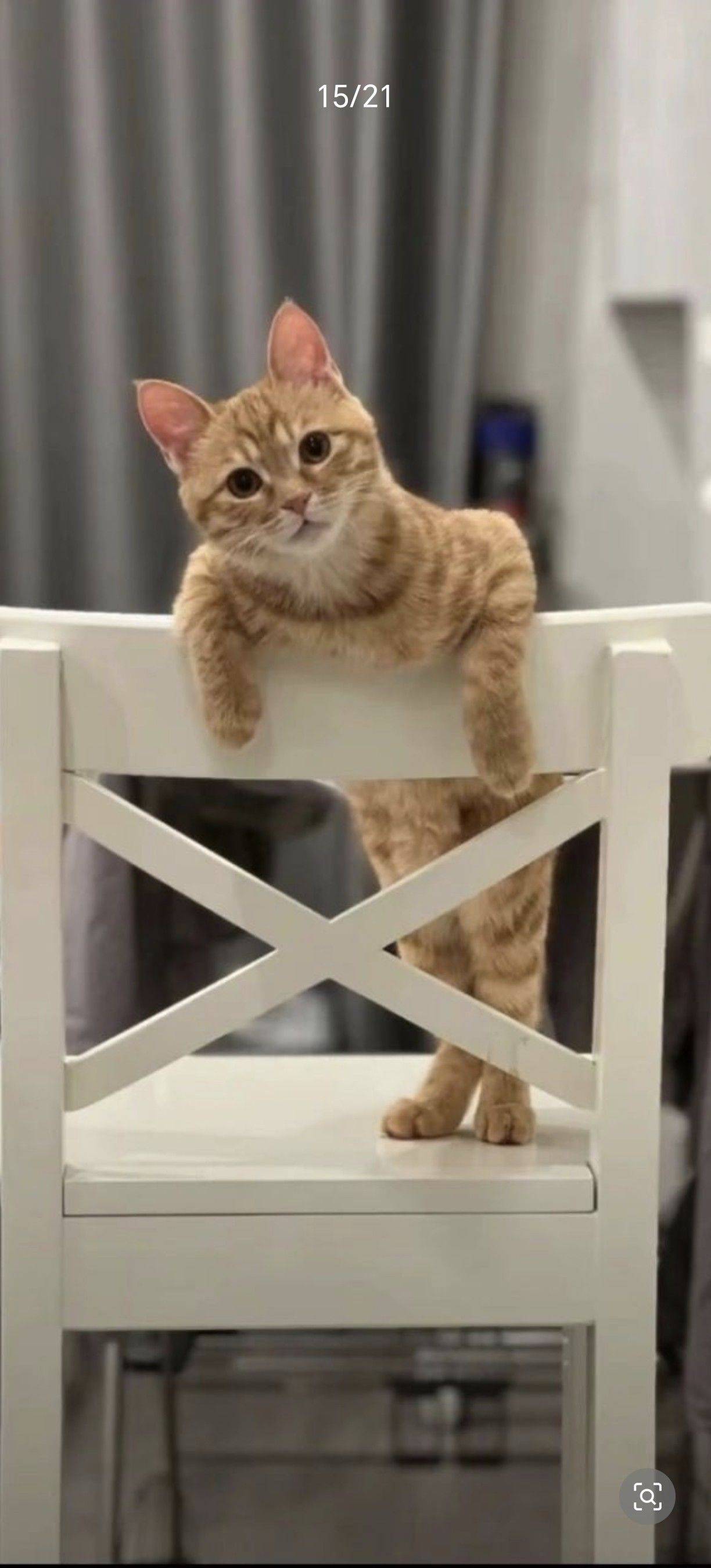 神仙室友你在哪儿呢？还没找到我家来吗？