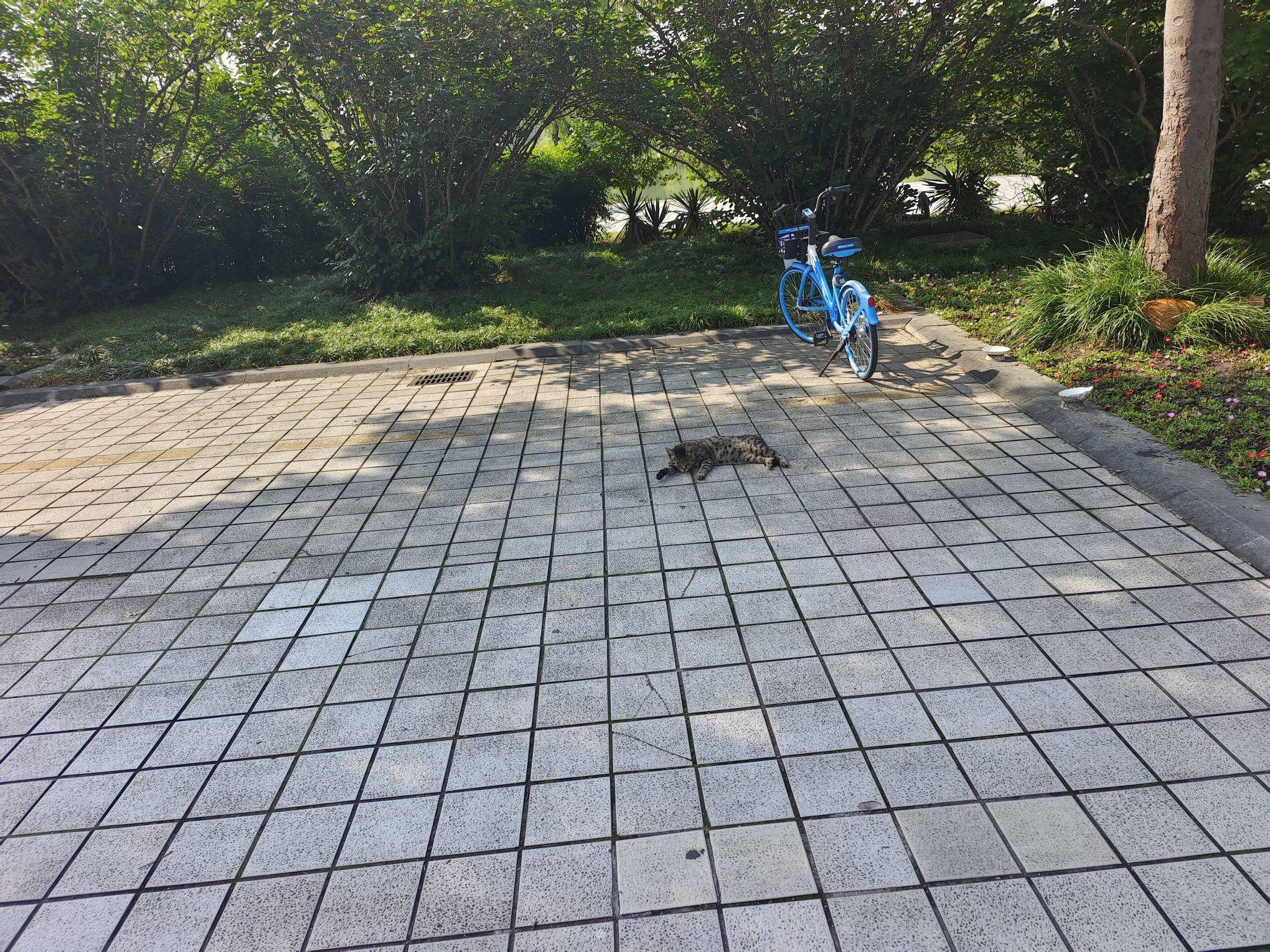 大学城生态真好 在线蹲室友 _1