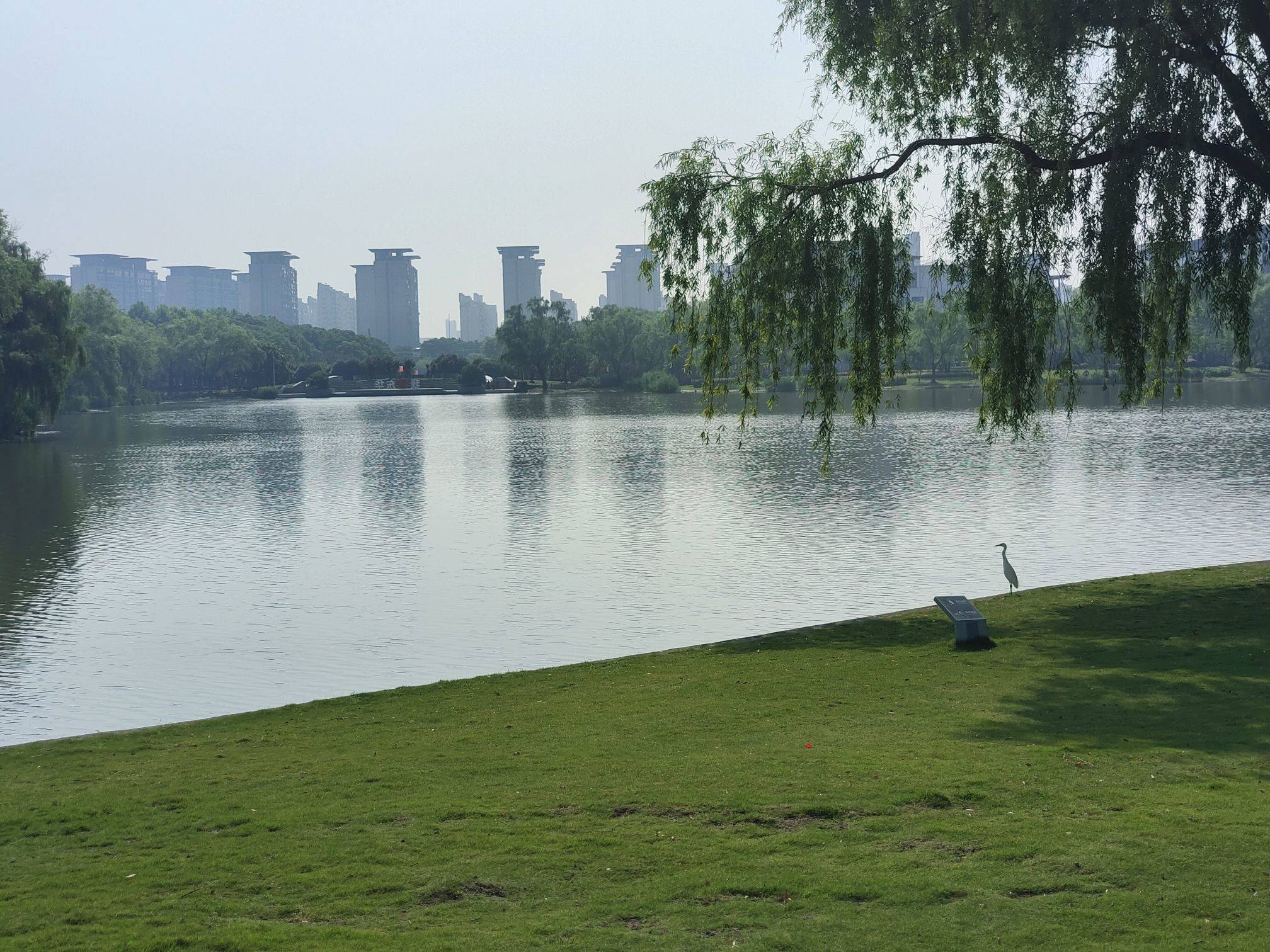 大学城生态真好 在线蹲室友 